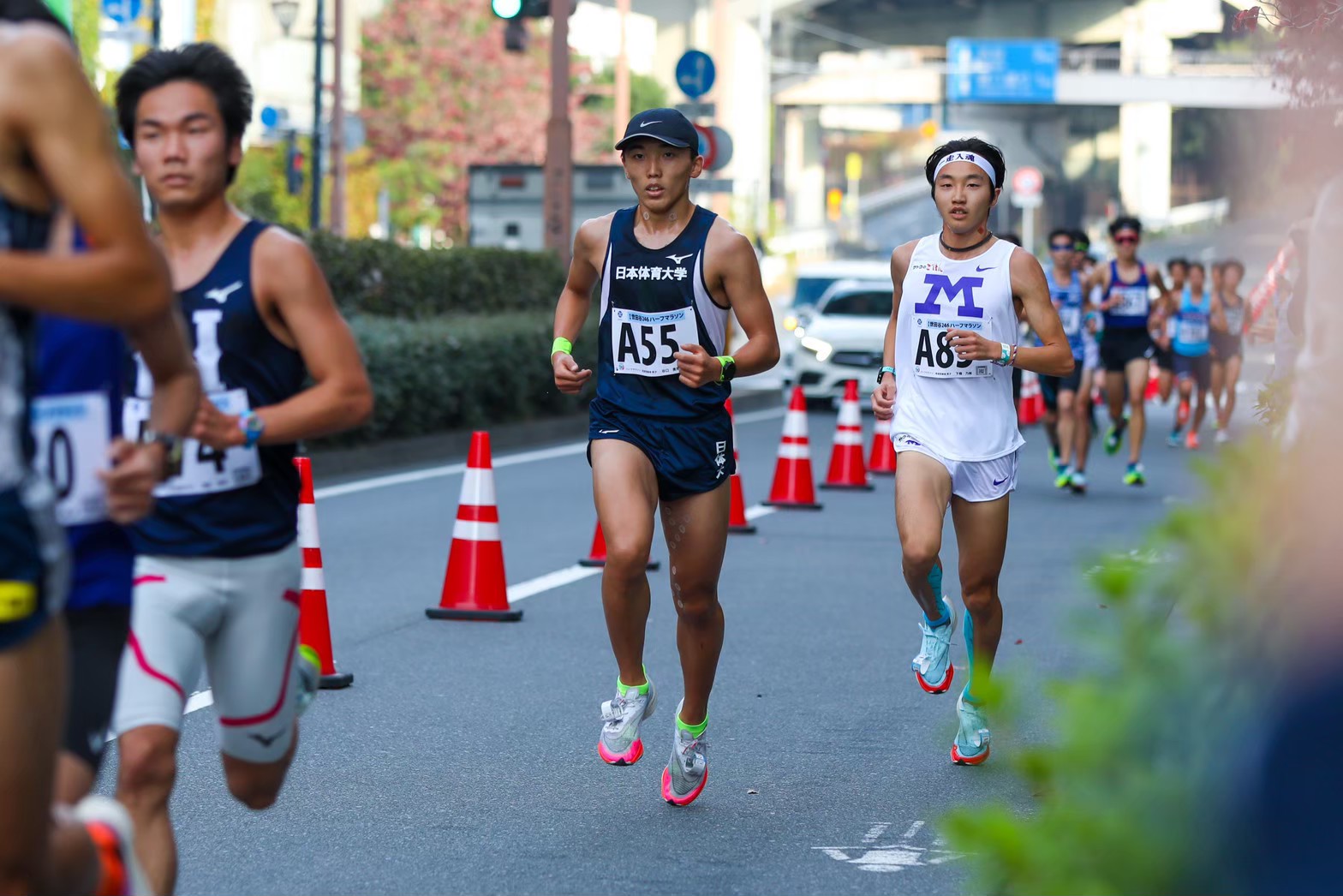 2022setagaya177