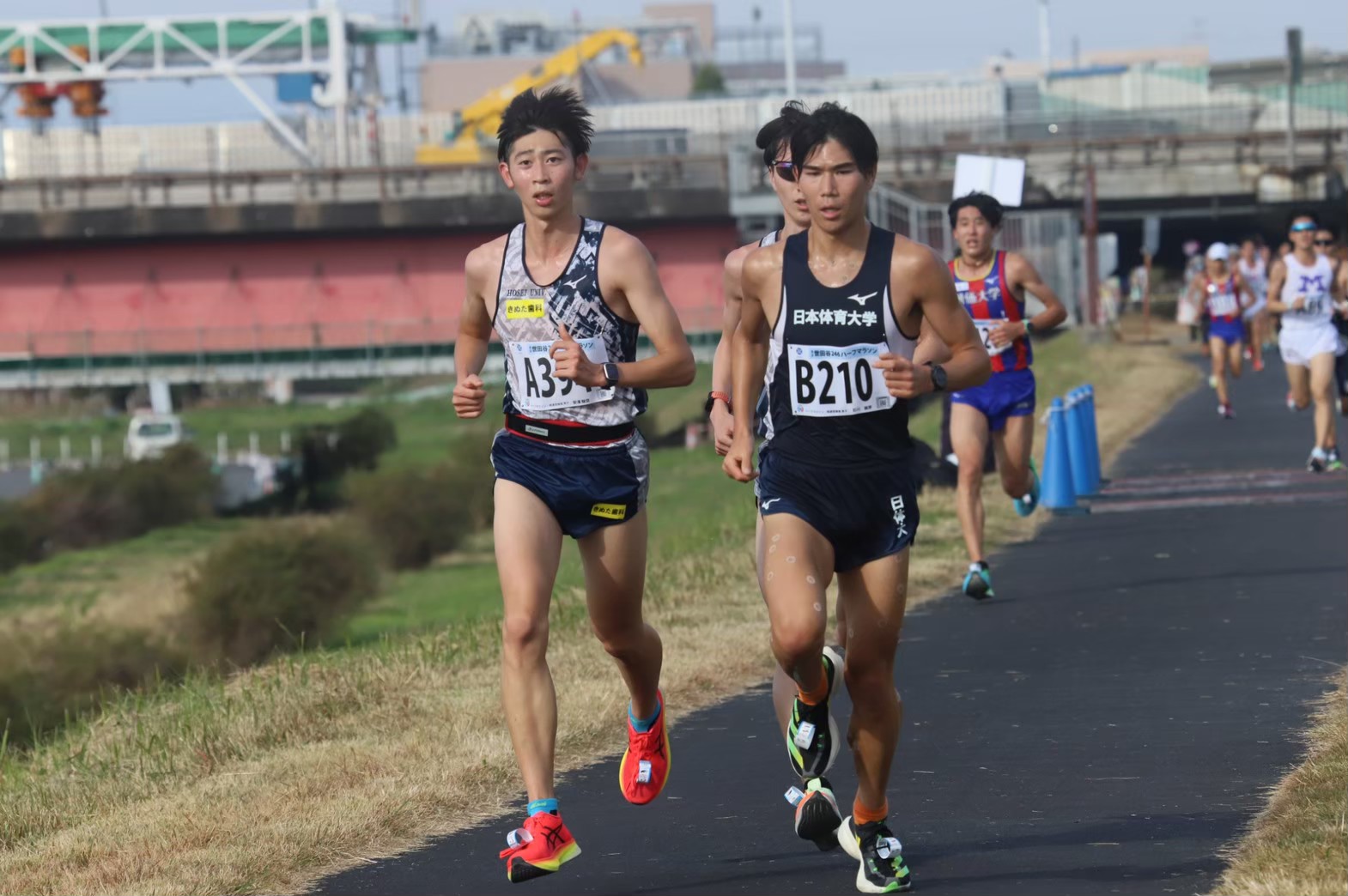 2022setagaya50