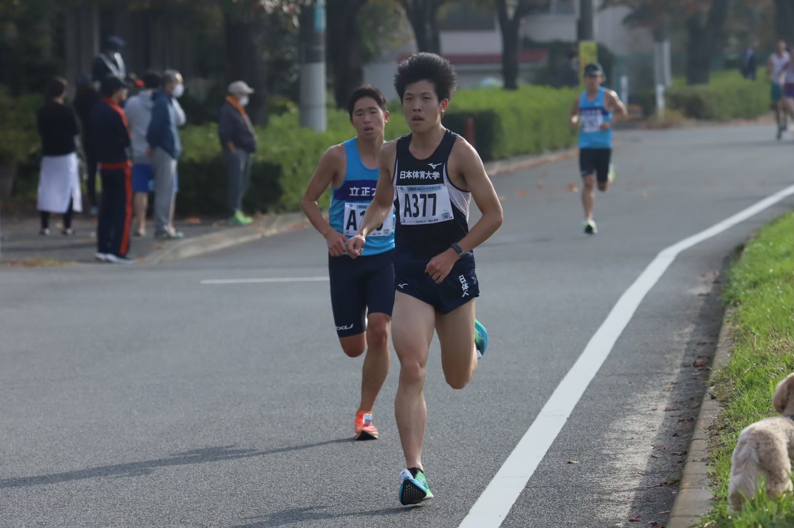 2022setagaya95