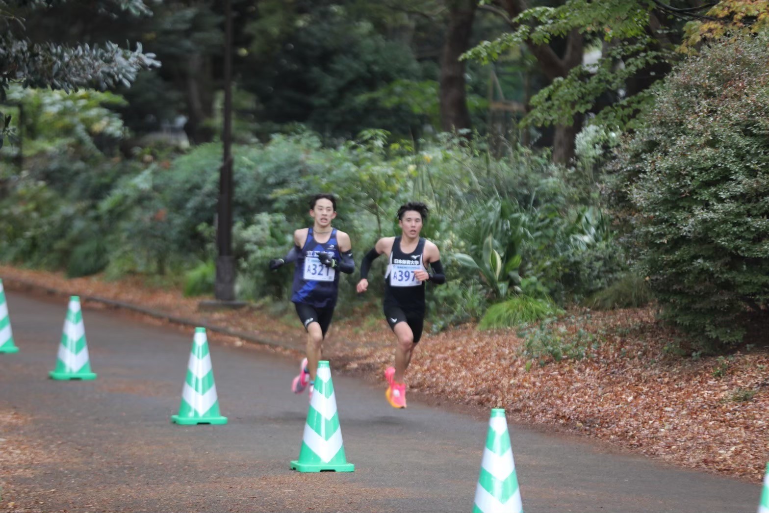 2023setagaya4