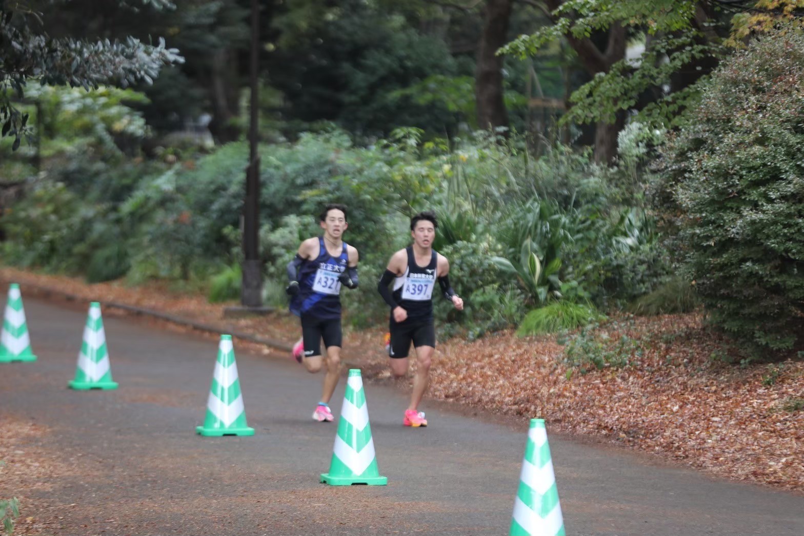 2023setagaya7