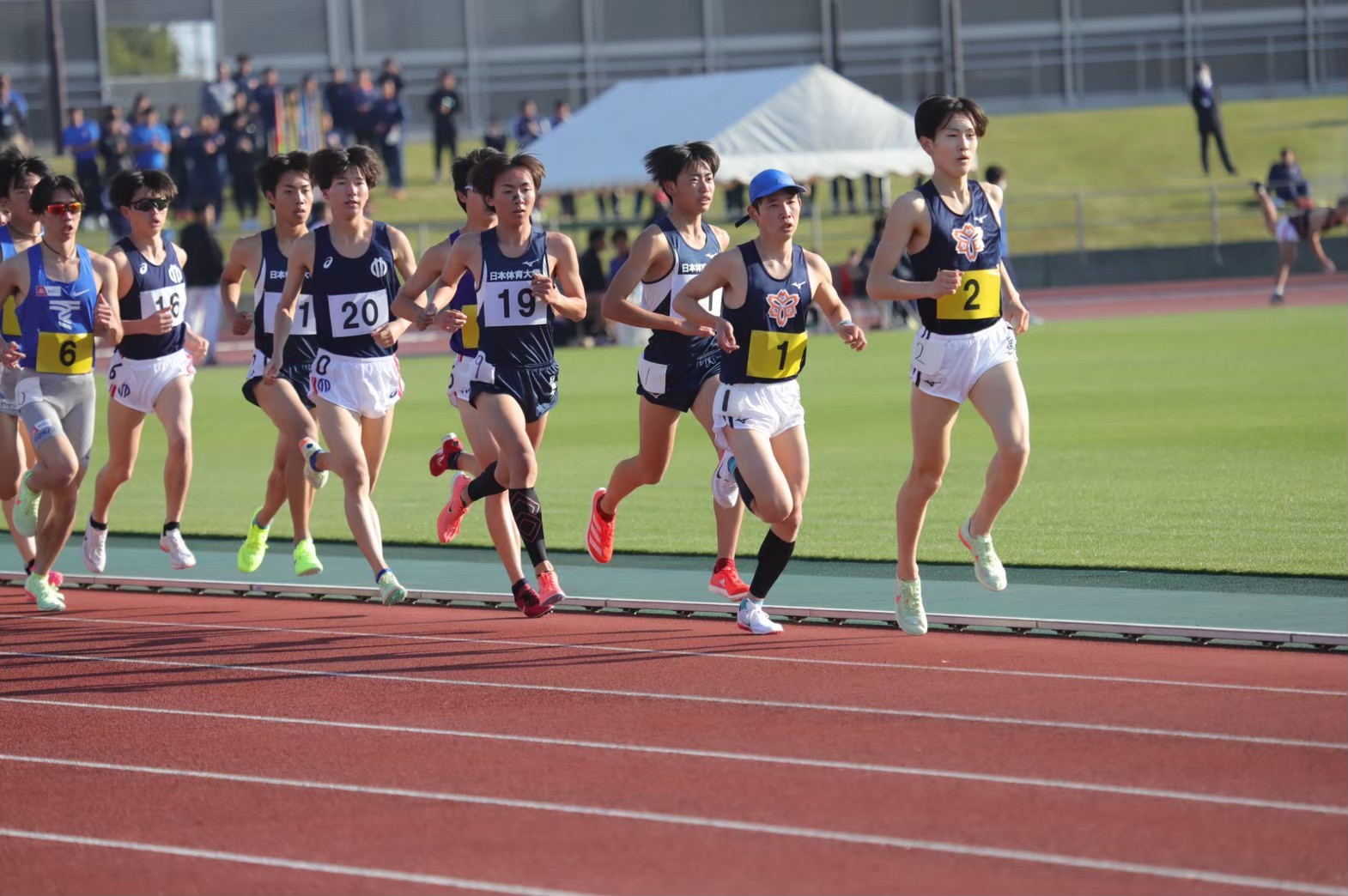 2023yondai294