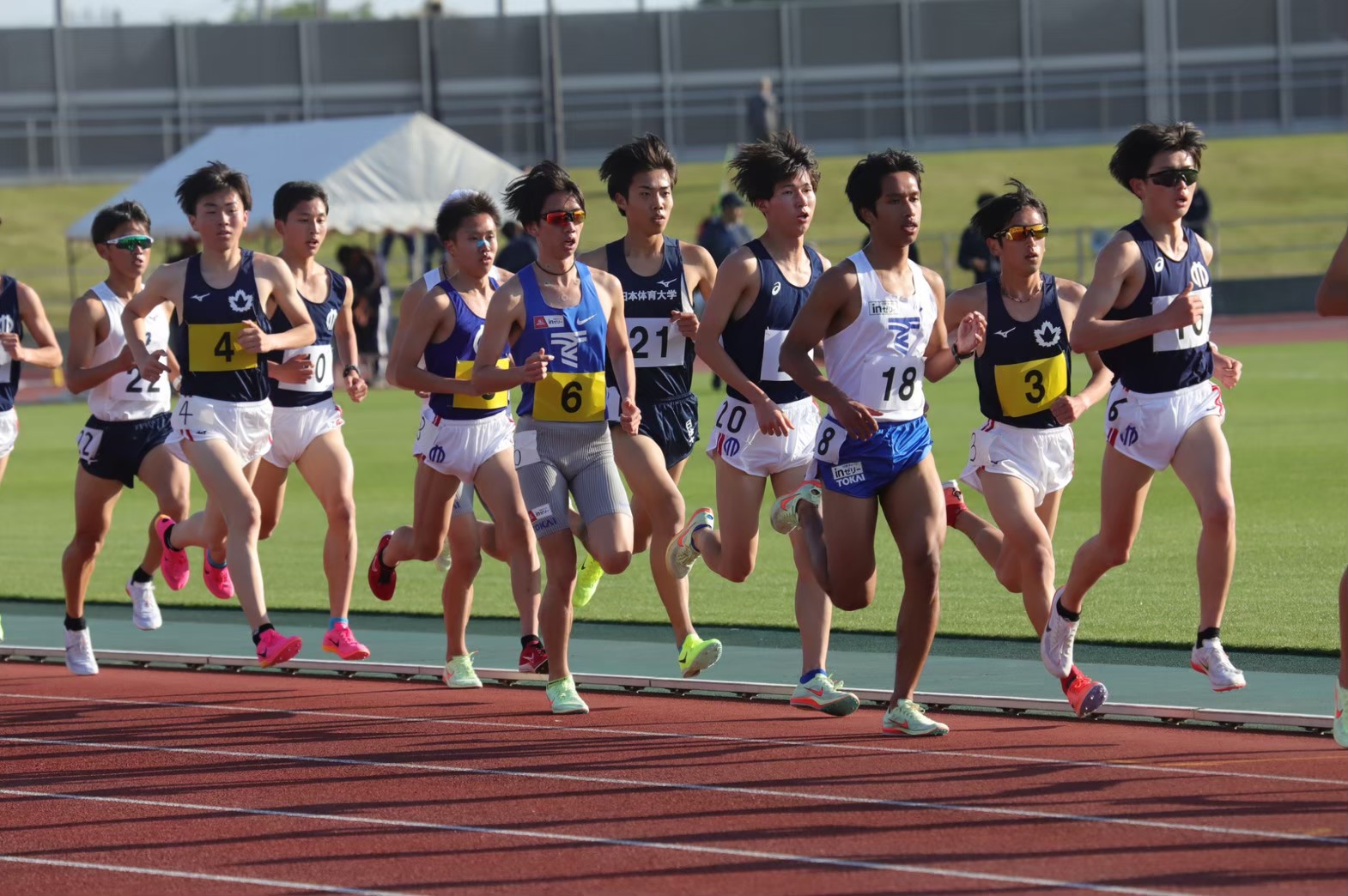 2023yondai310
