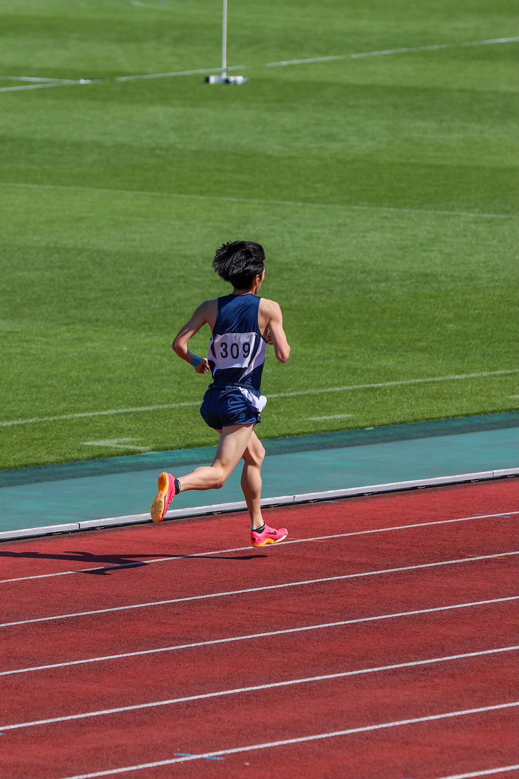 2023yondai456