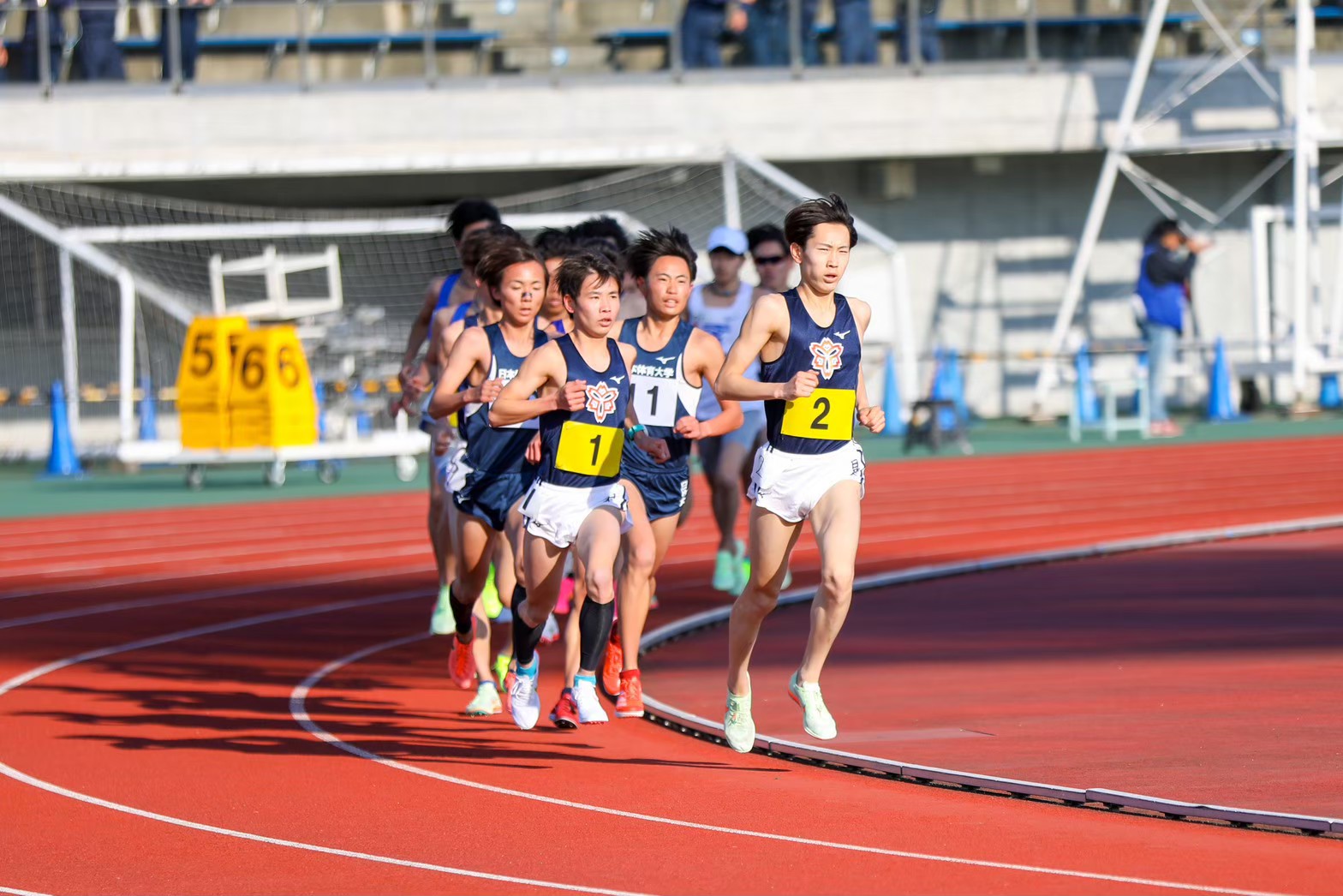 2023yondai81