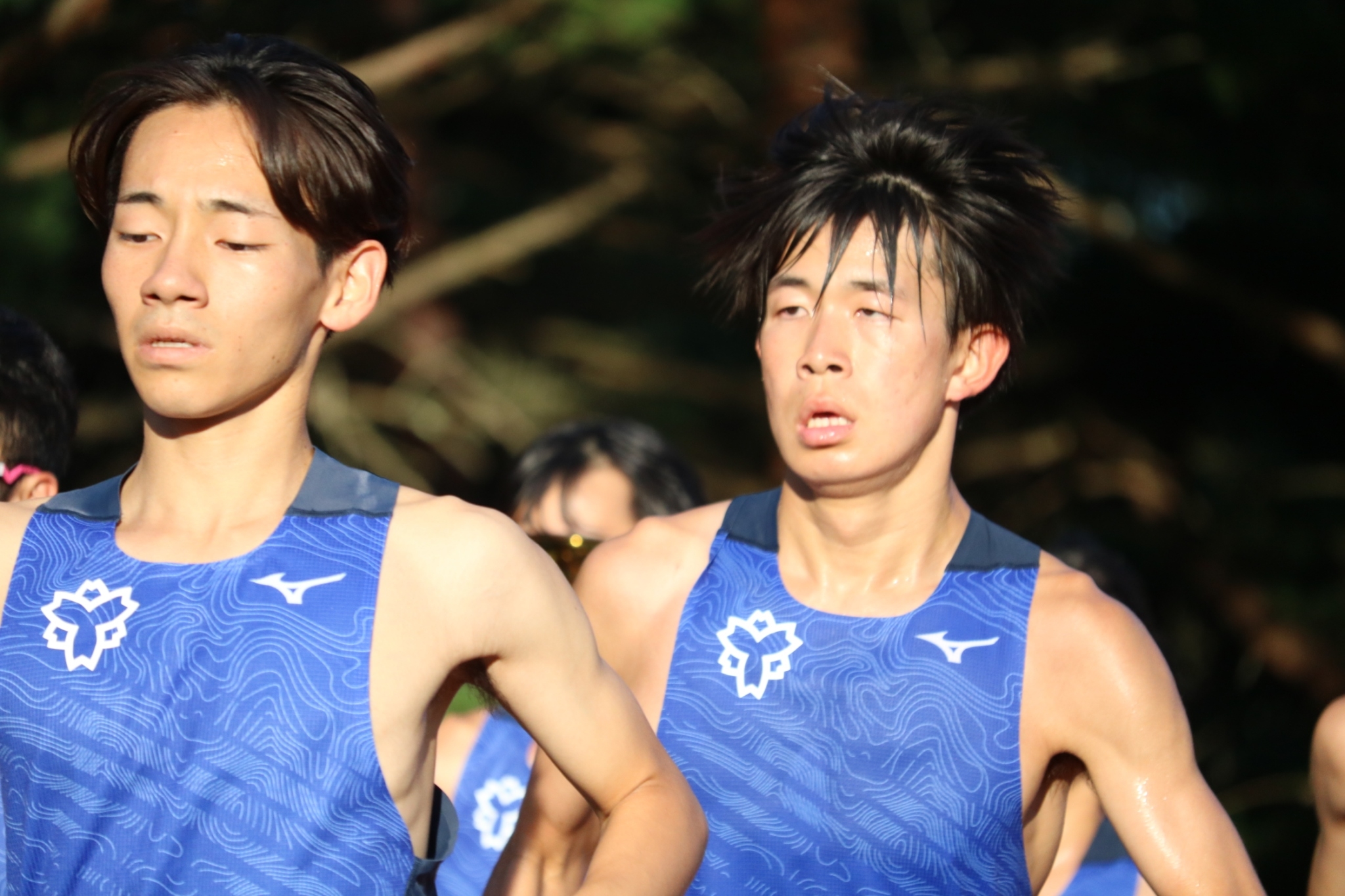 2024fujimi2camp1112
