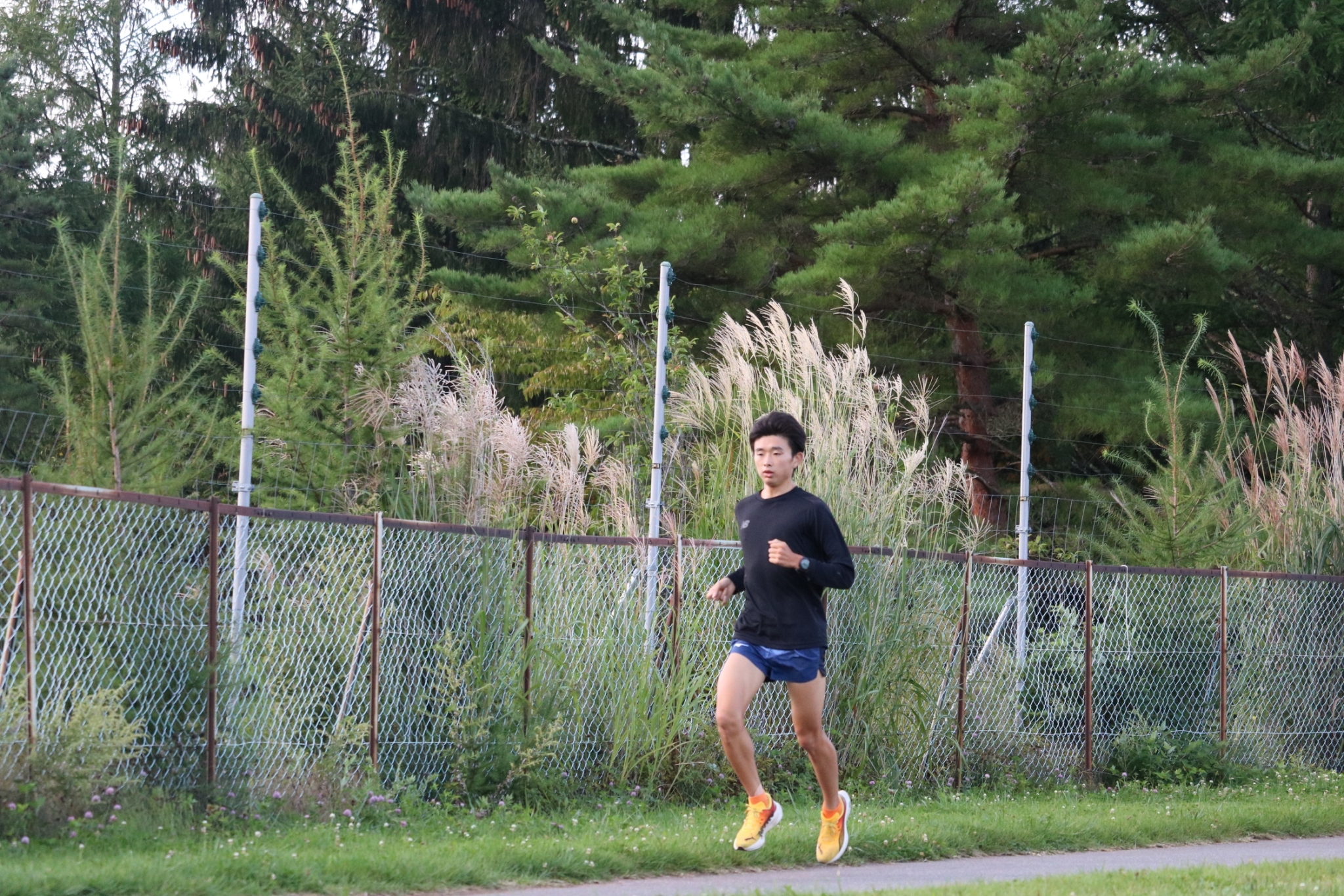 2024fujimi2camp1366
