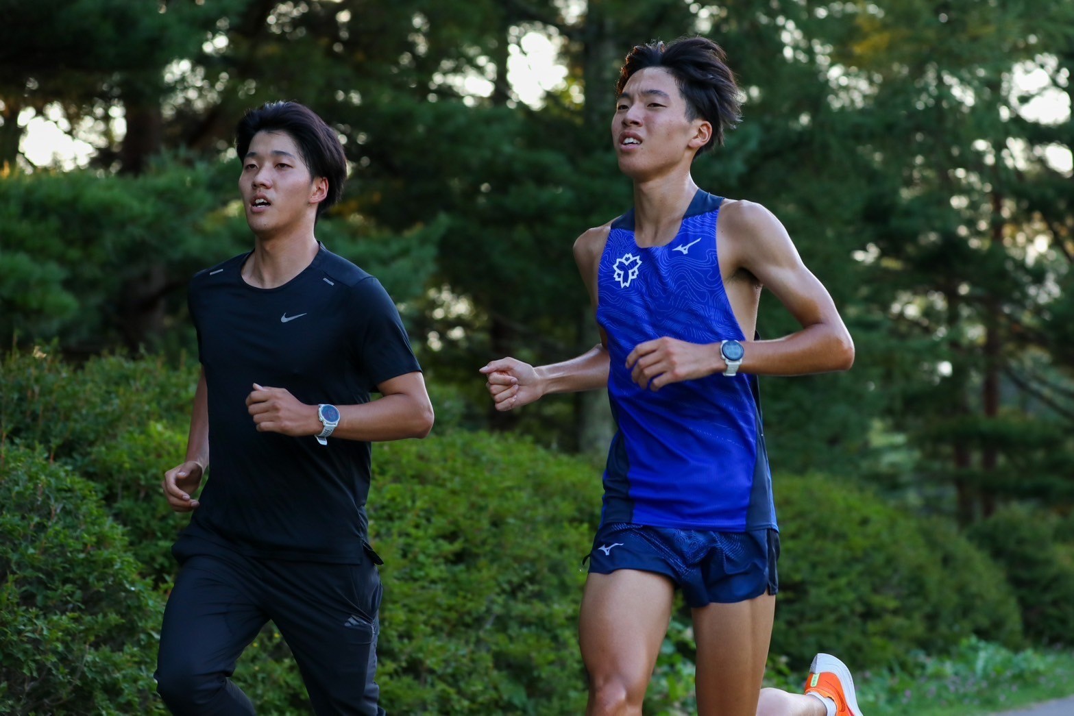 2024fujimi2camp1794