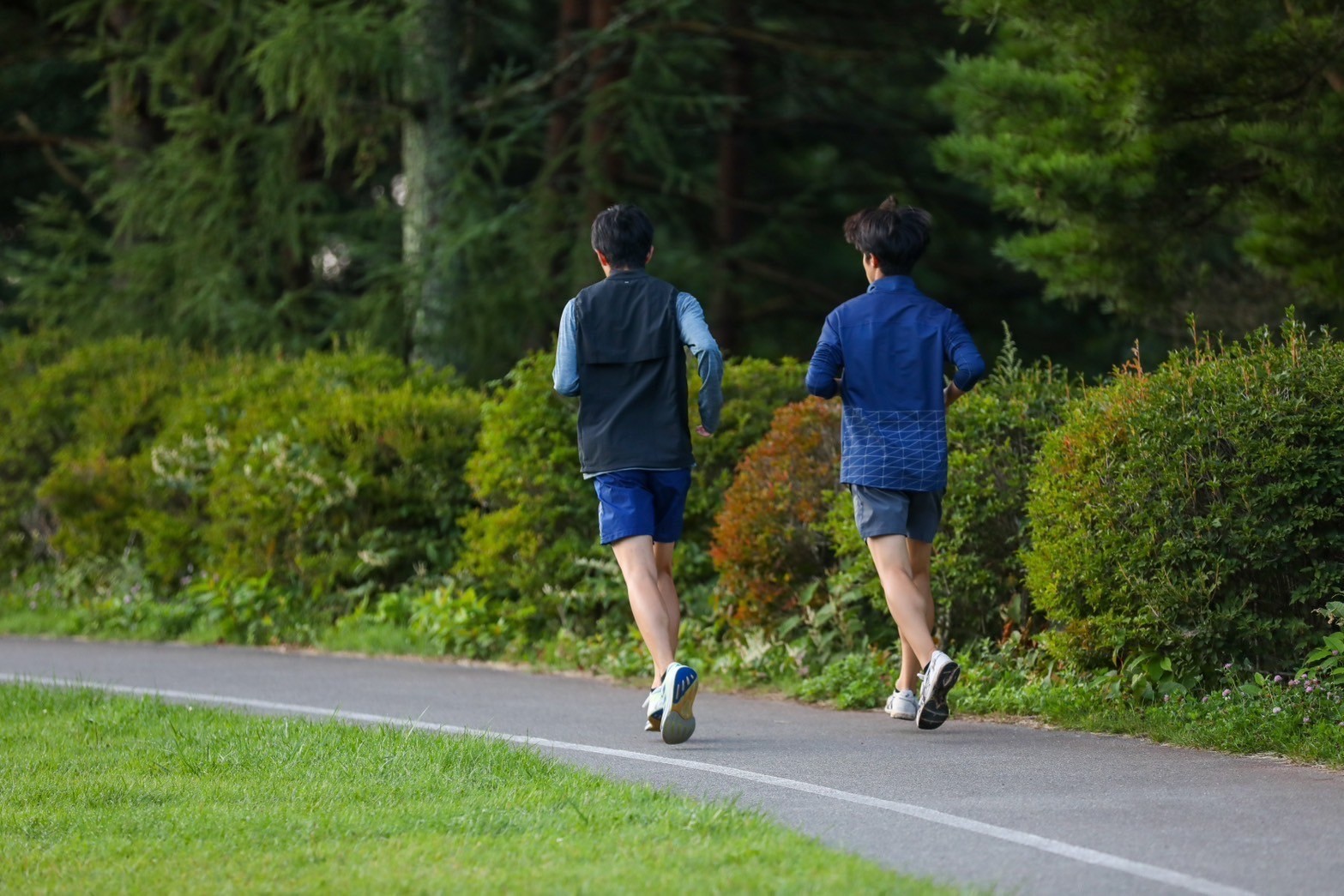2024fujimi2camp225