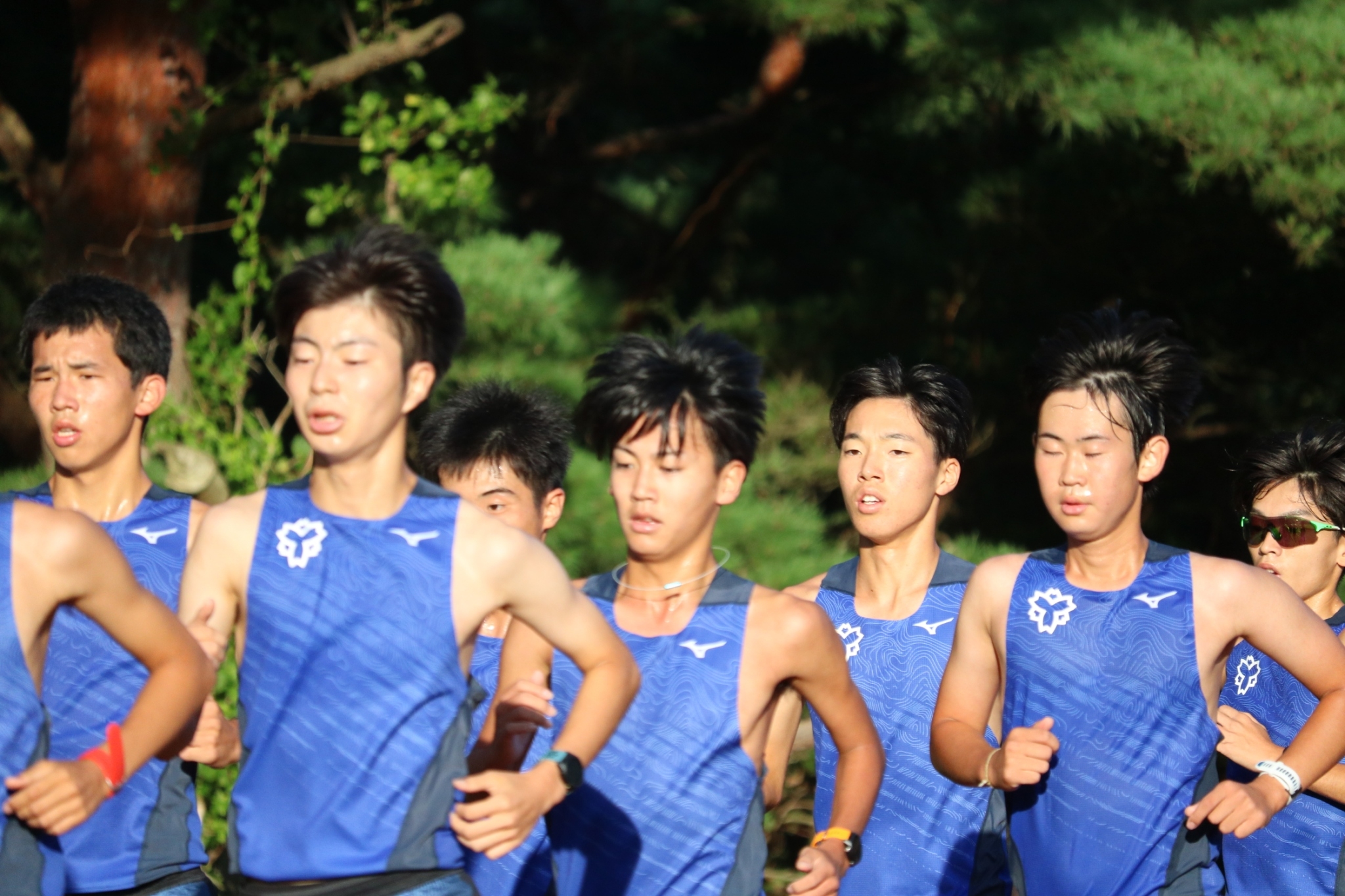 2024fujimi2camp440