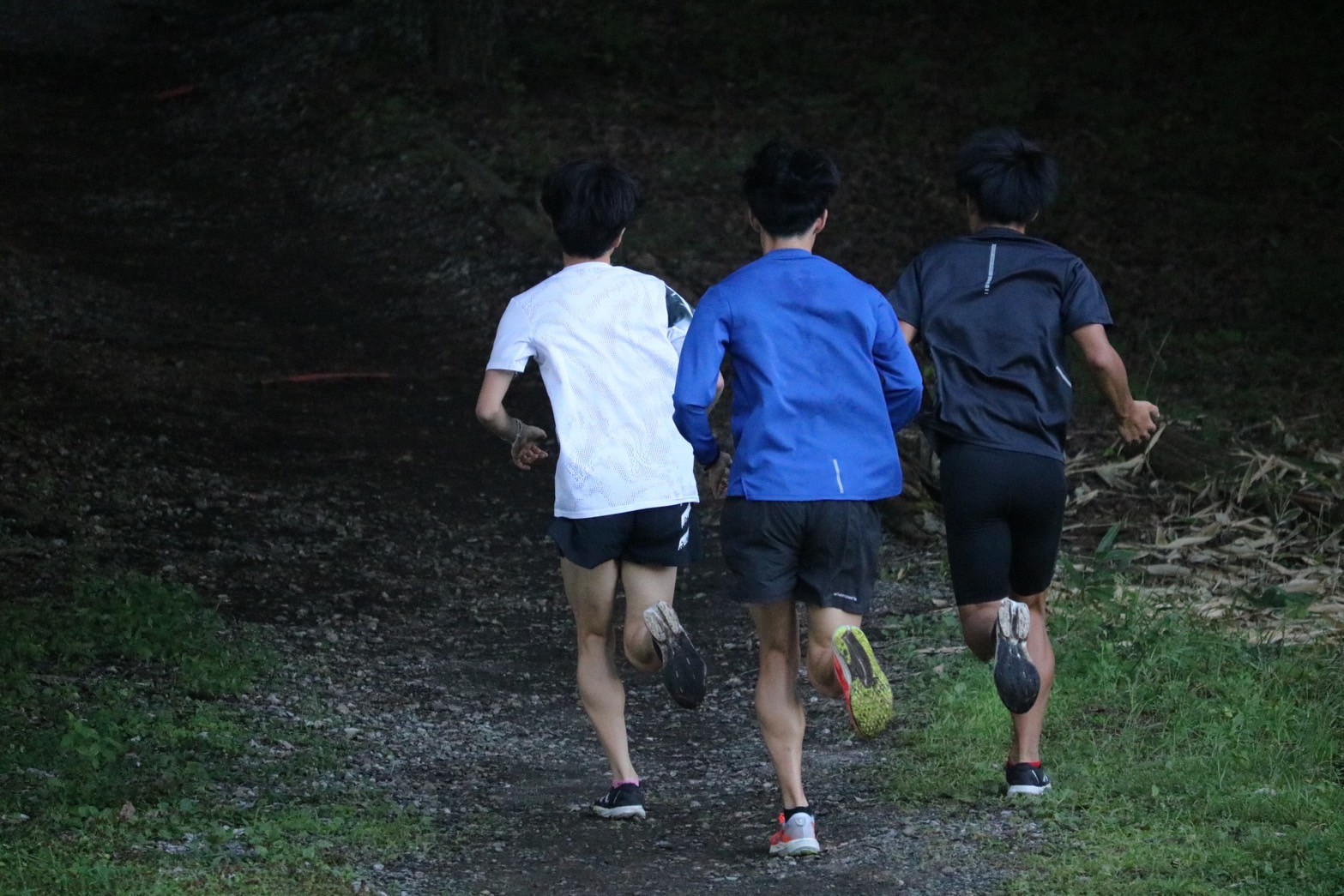 2024fujimicamp1025