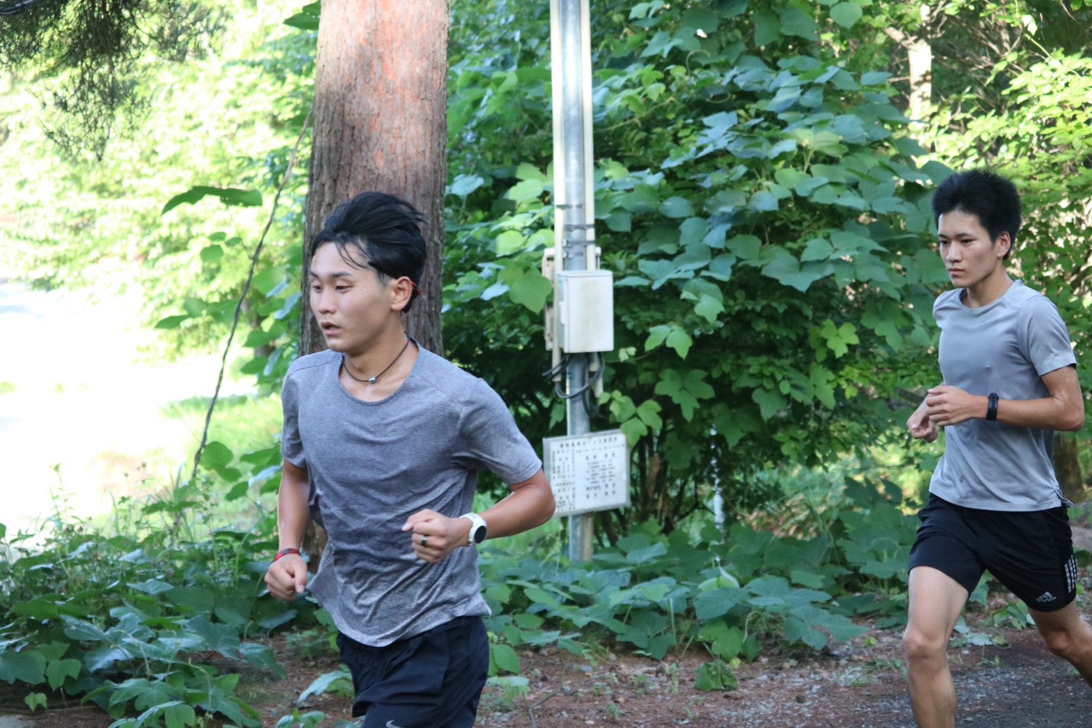 2024fujimicamp1091