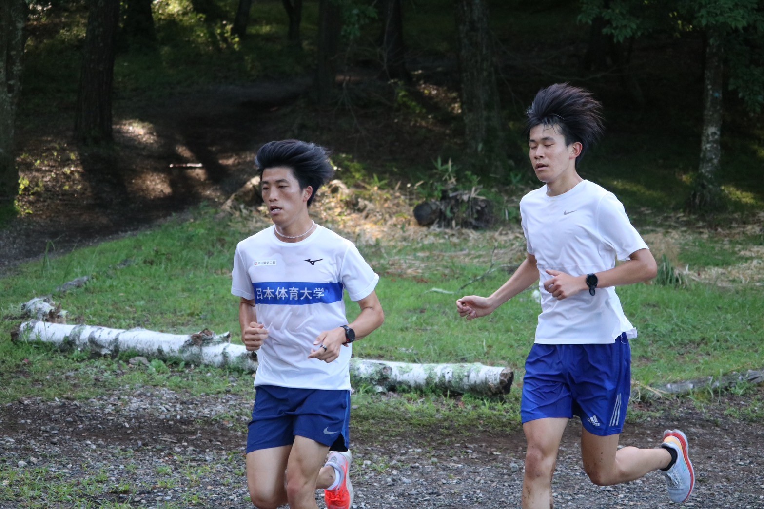 2024fujimicamp1108