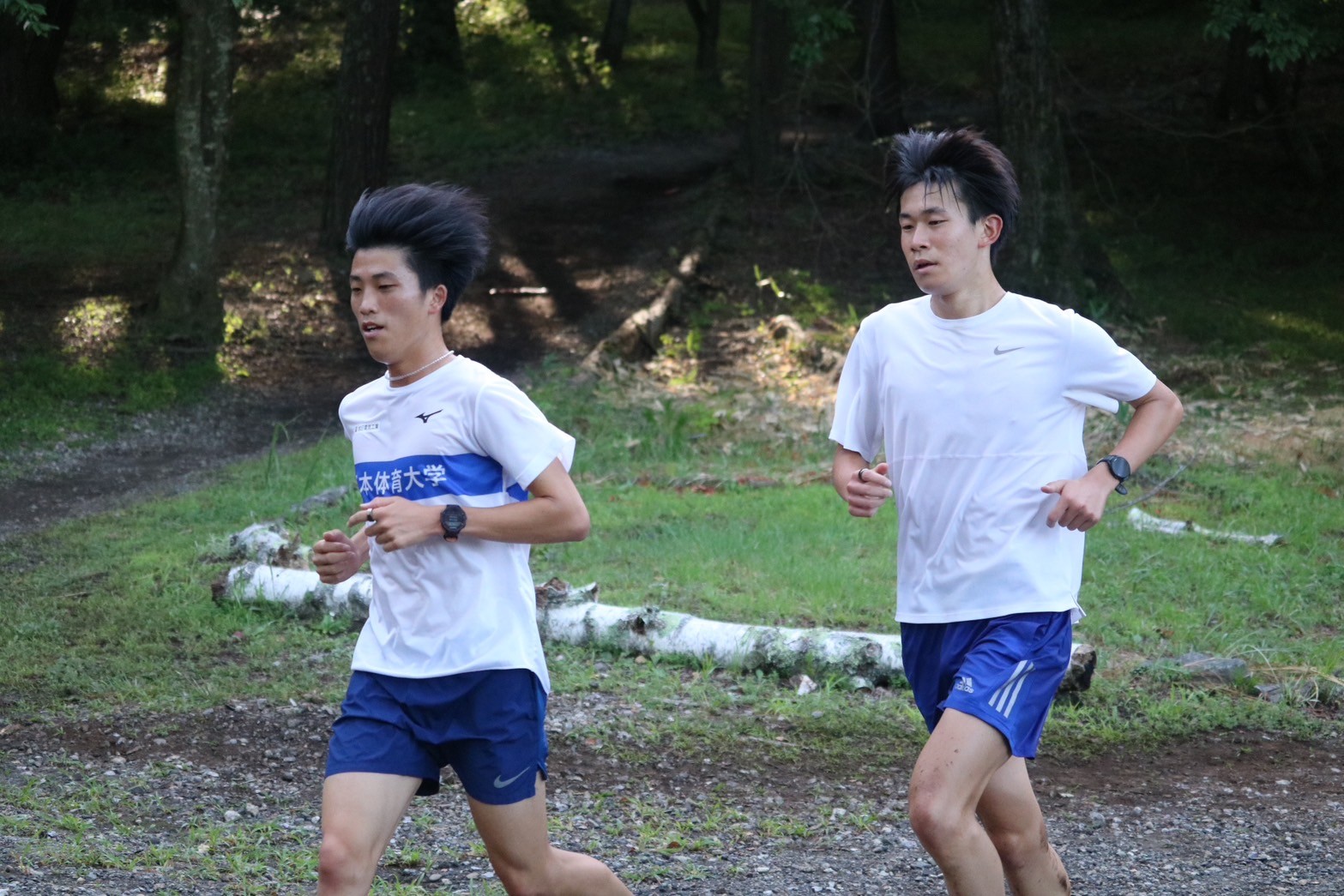 2024fujimicamp1109