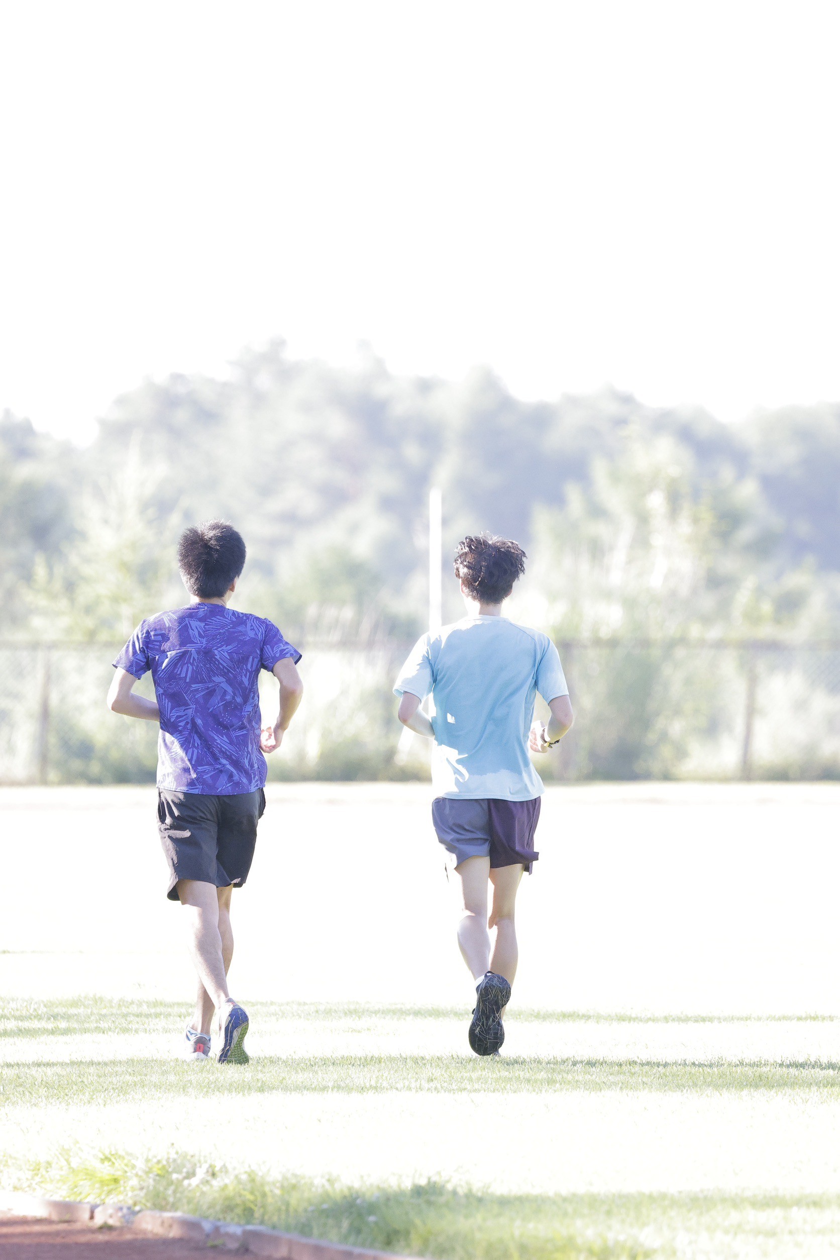 2024fujimicamp1280