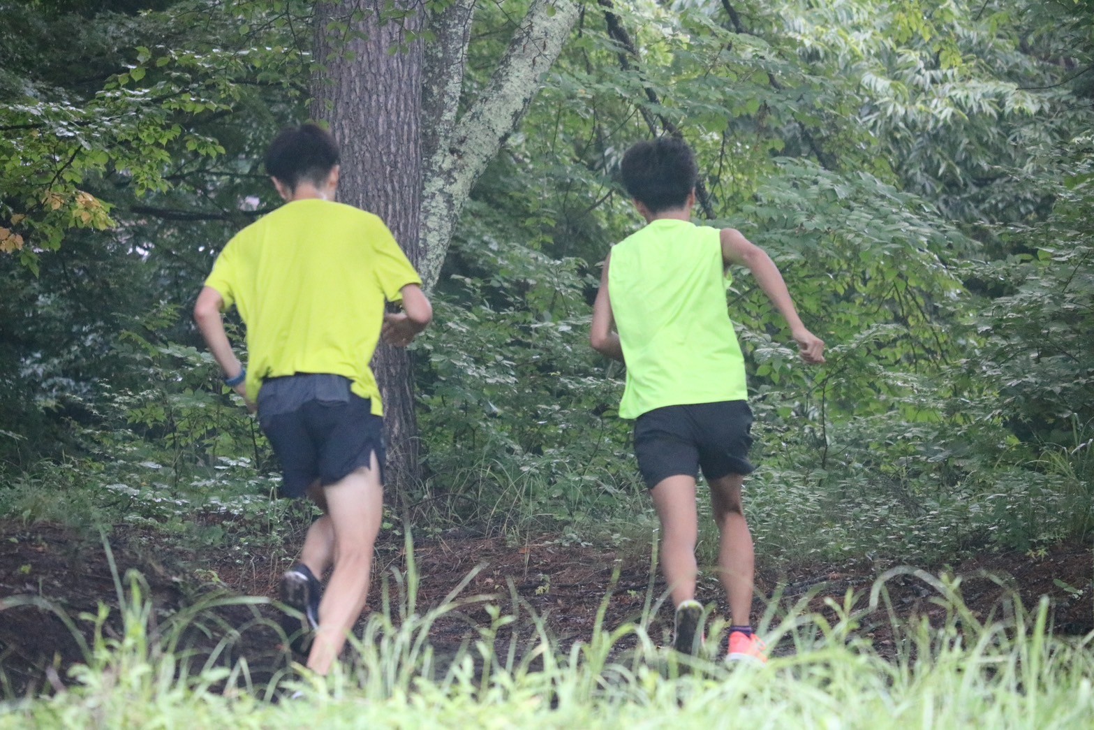 2024fujimicamp686