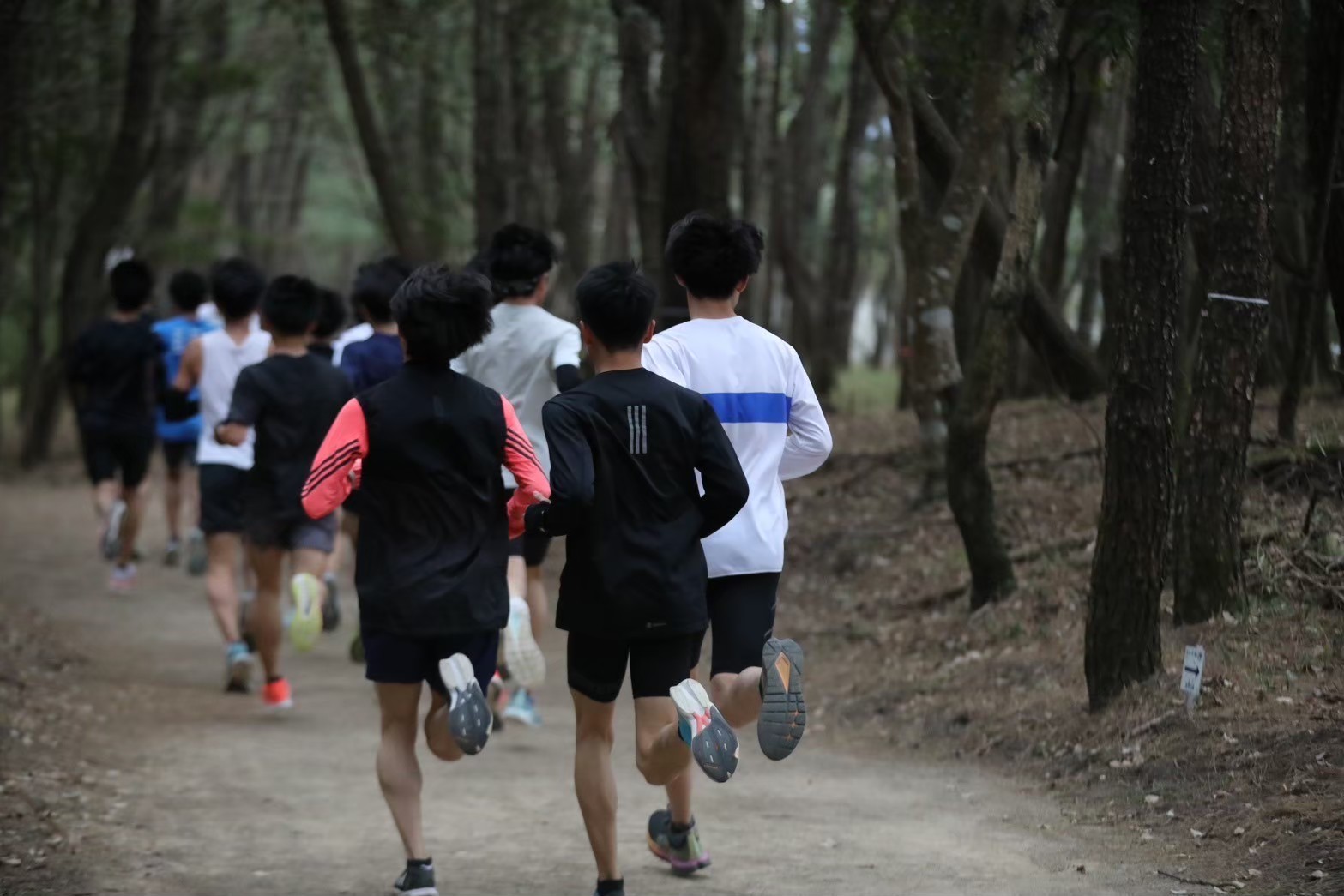 2024miyazakicamp239