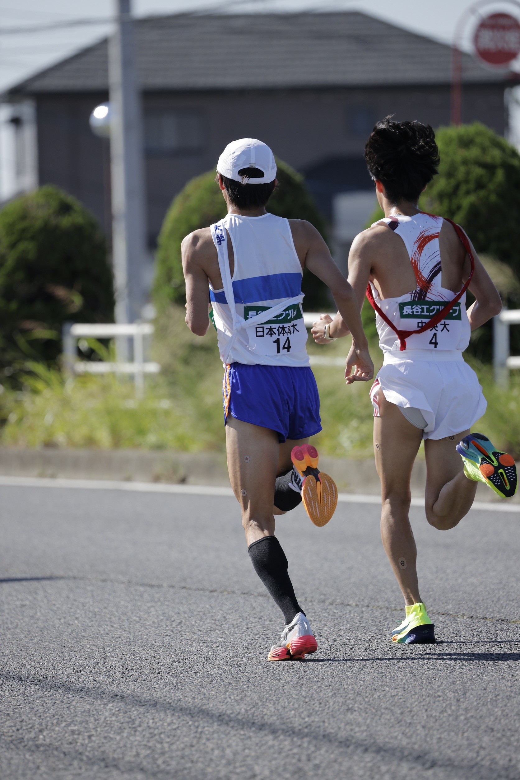 2024zennihonekiden104