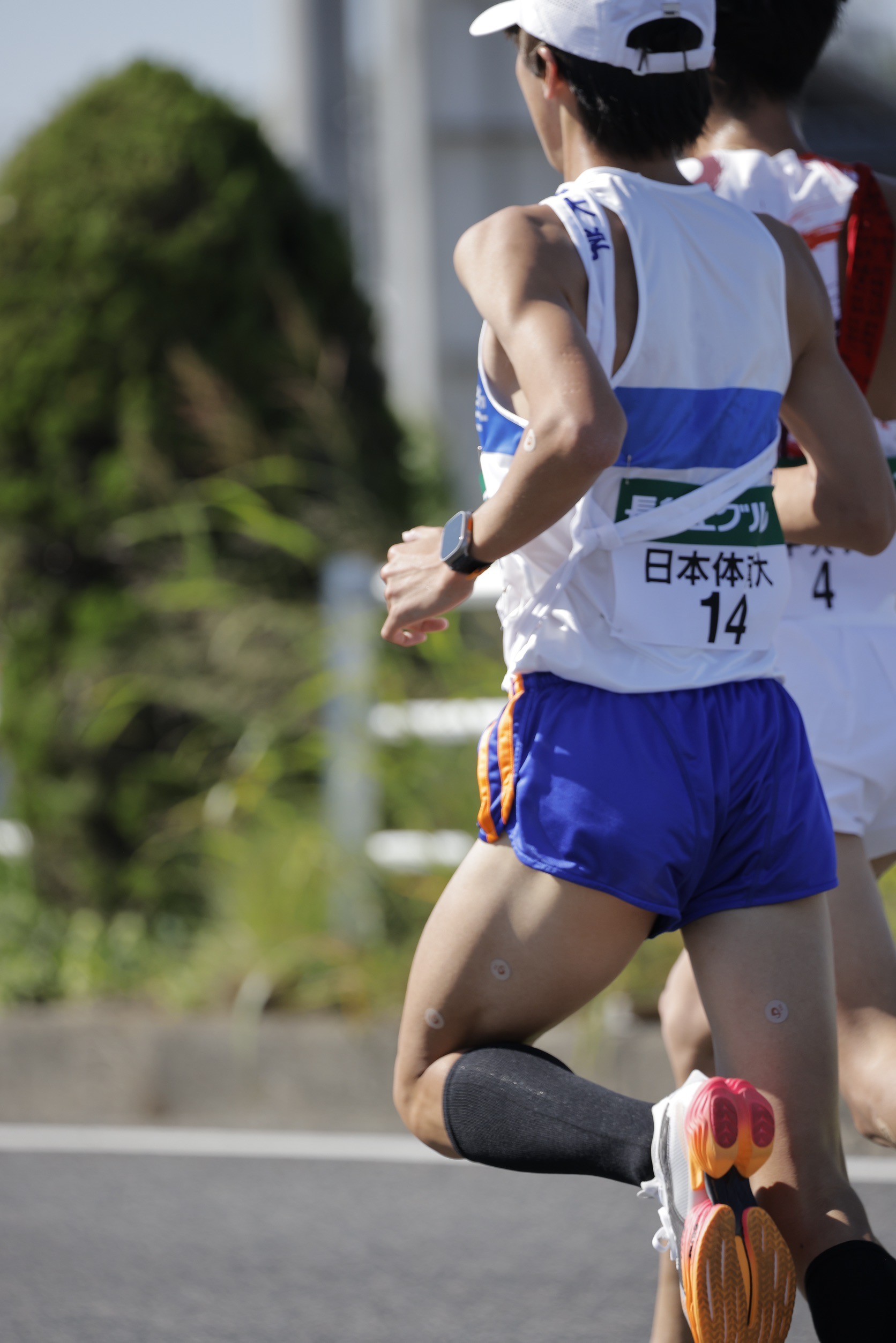 2024zennihonekiden124