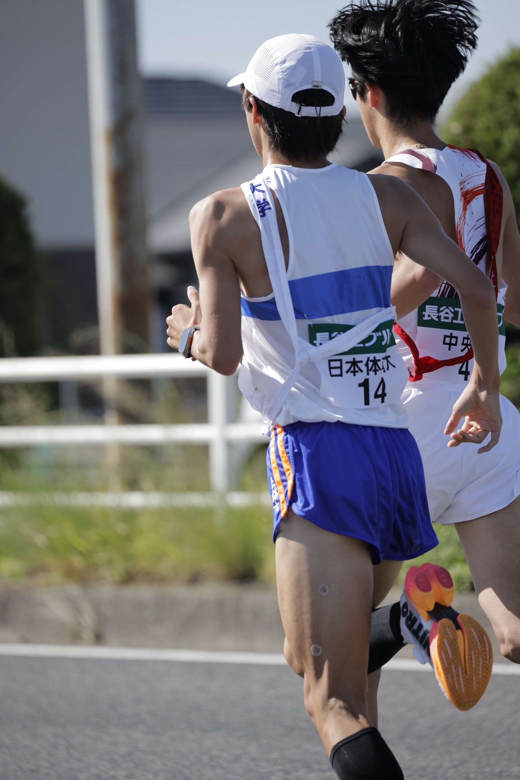 2024zennihonekiden137