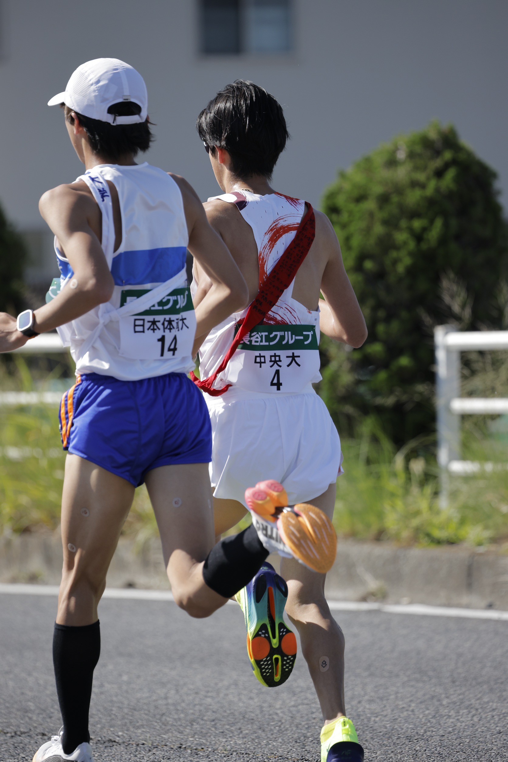 2024zennihonekiden174