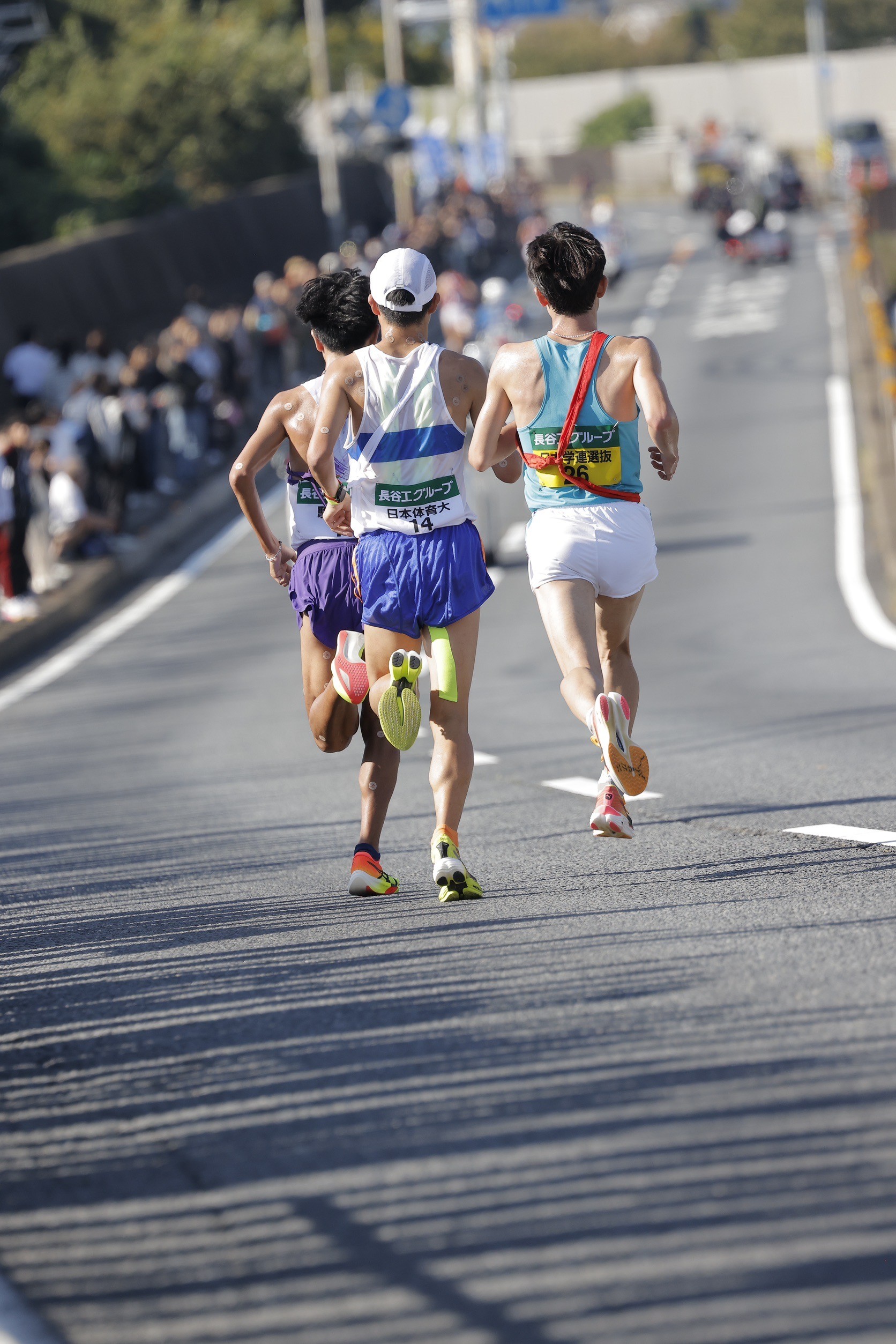 2024zennihonekiden177