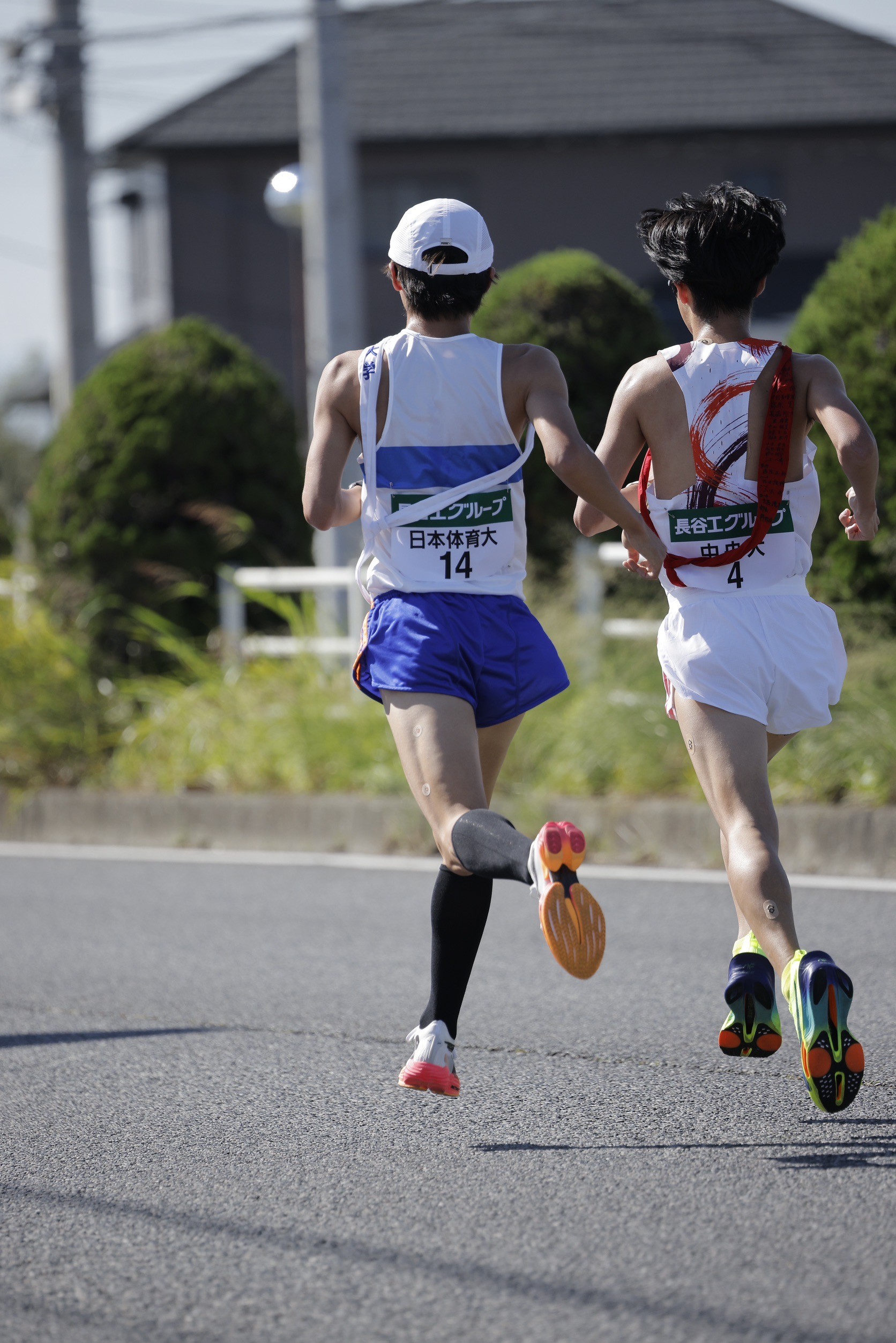 2024zennihonekiden194