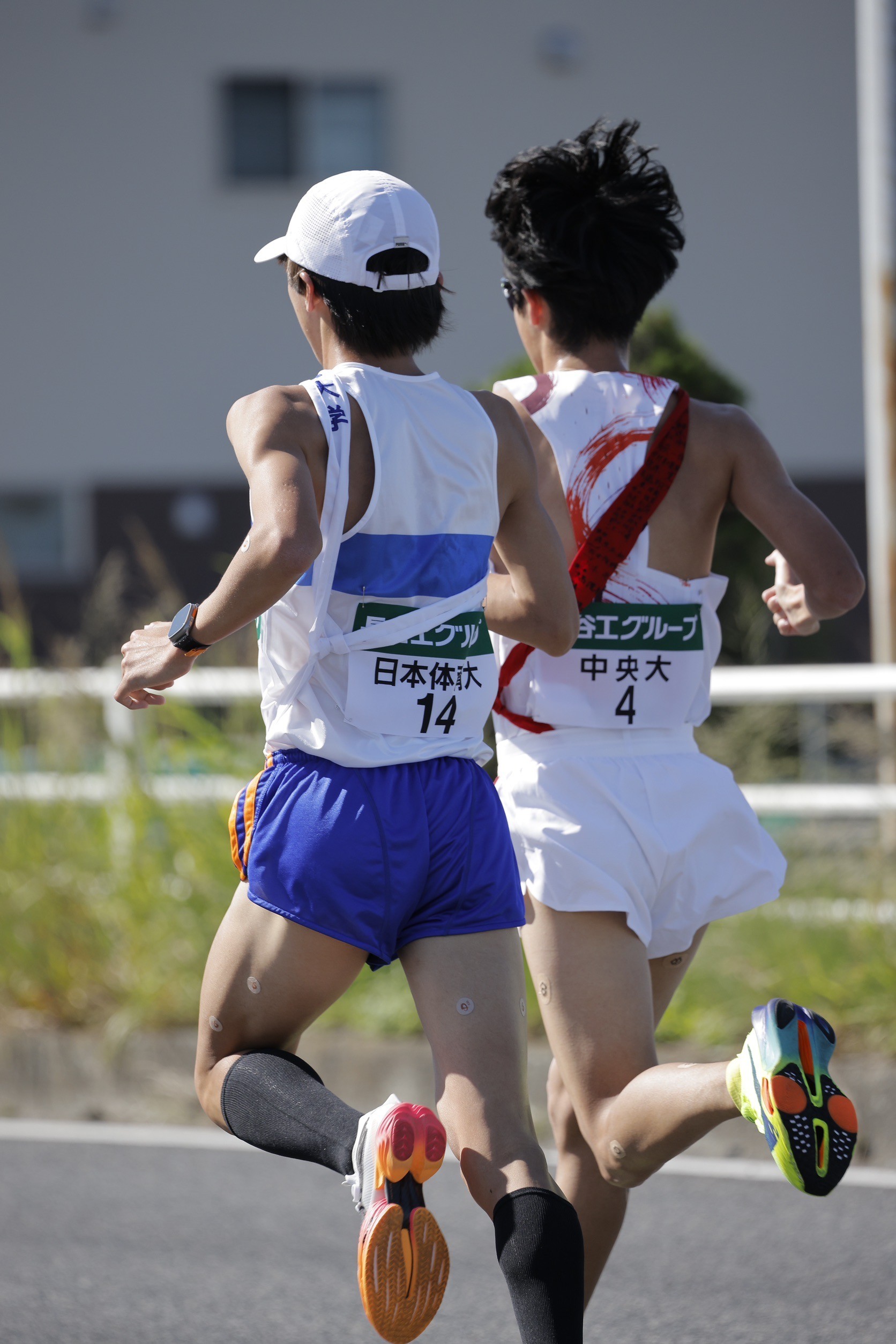 2024zennihonekiden56