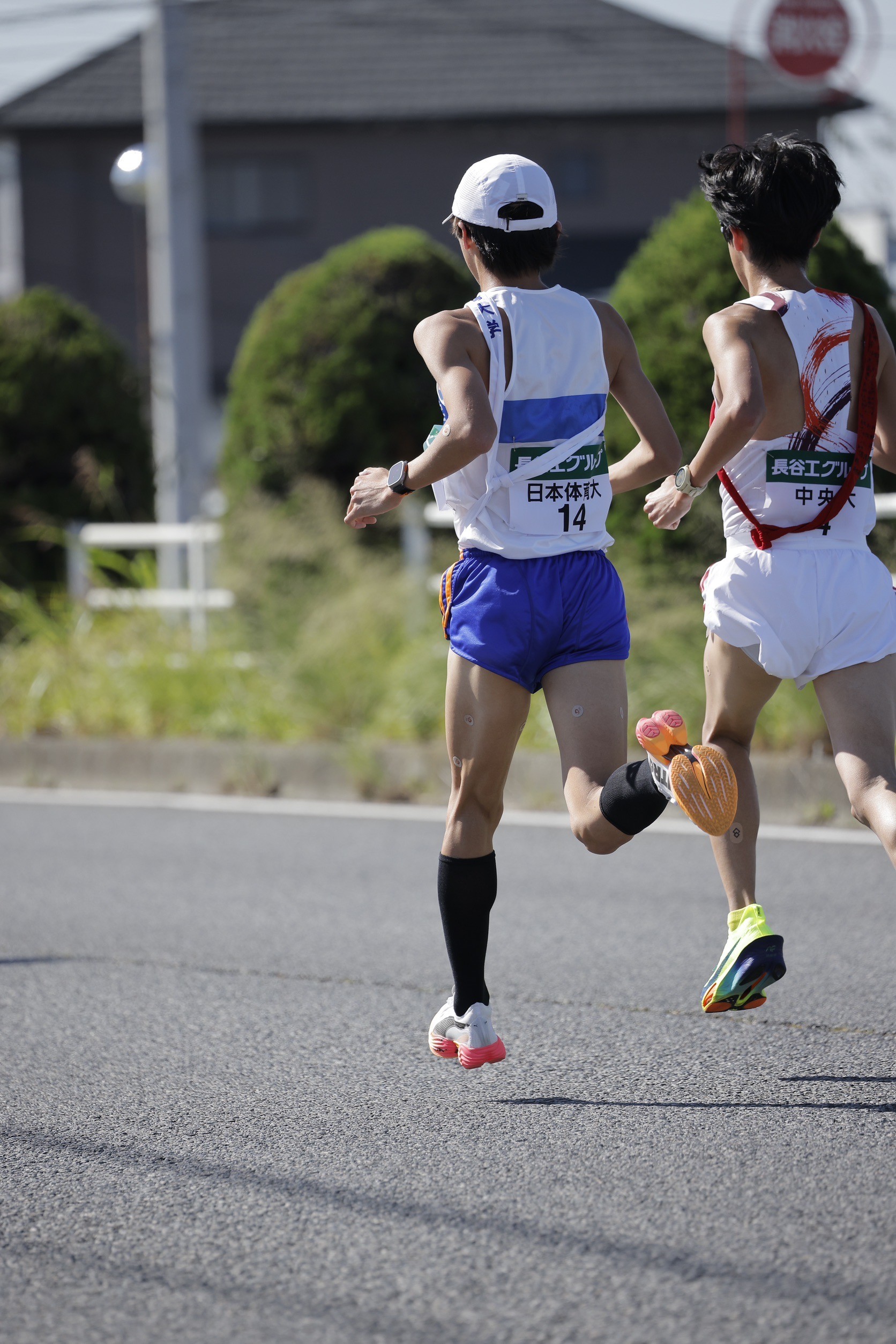 2024zennihonekiden62
