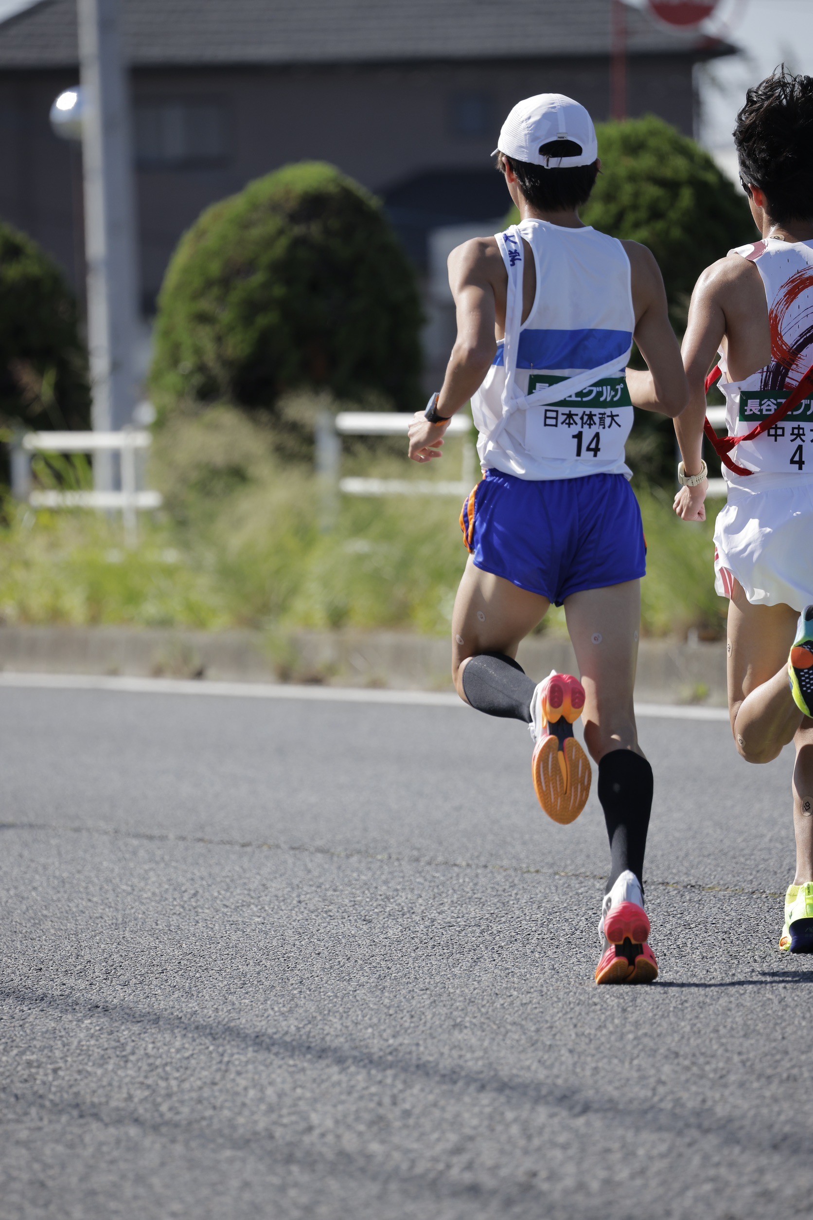 2024zennihonekiden83