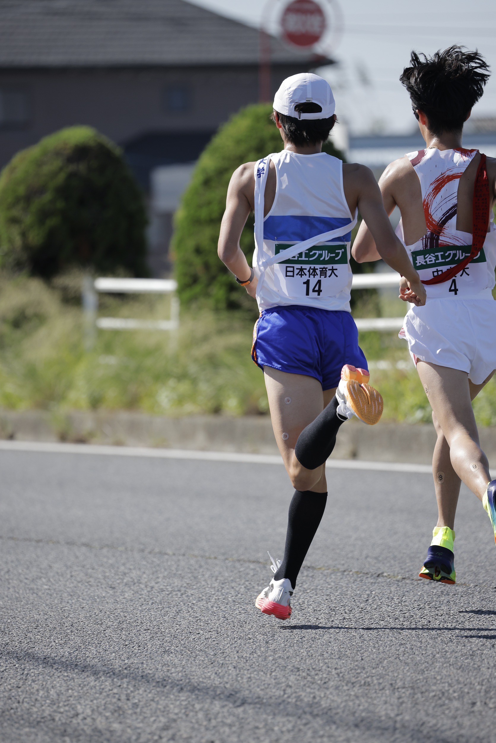 2024zennihonekiden93