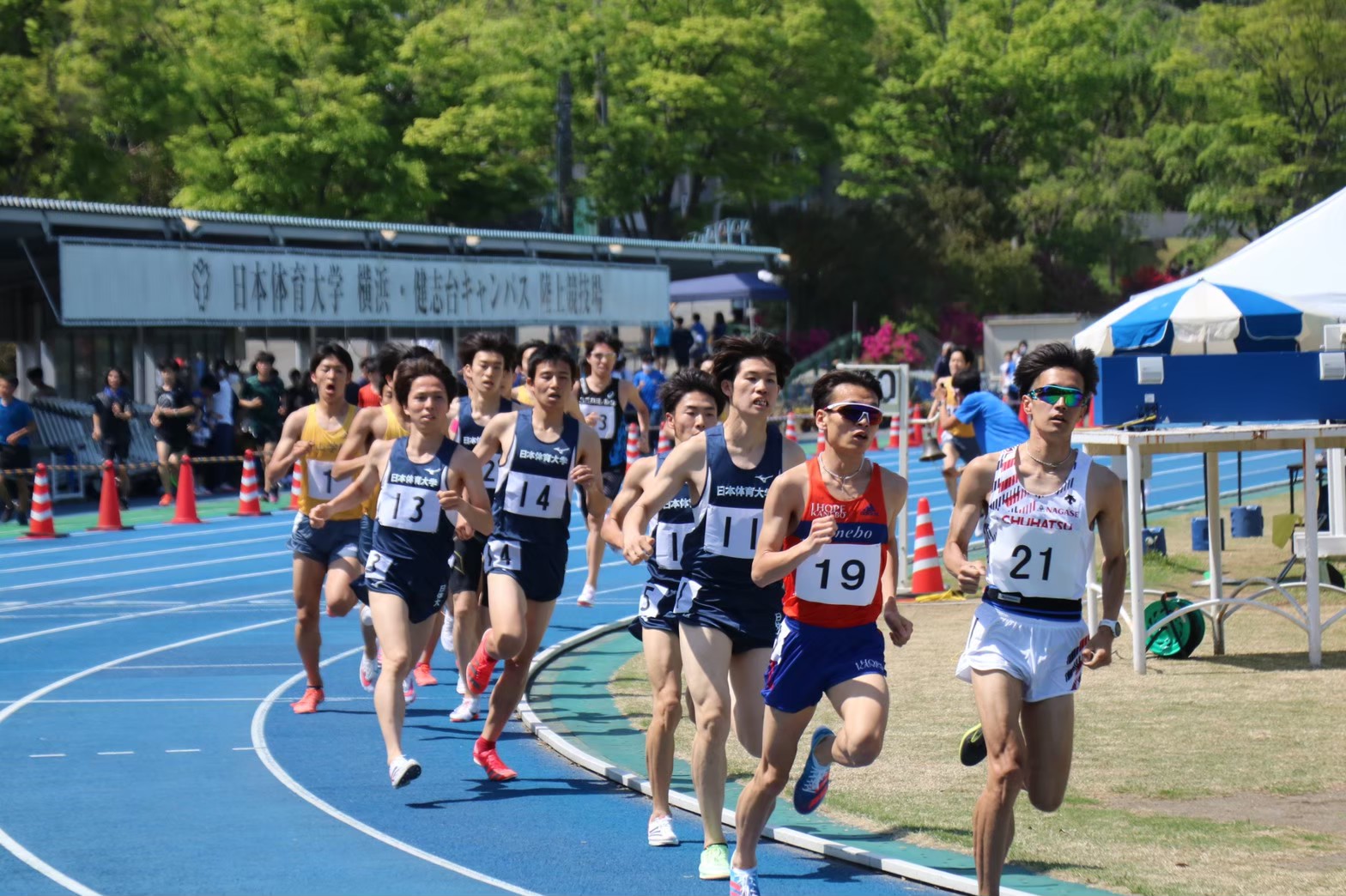 294nittai17