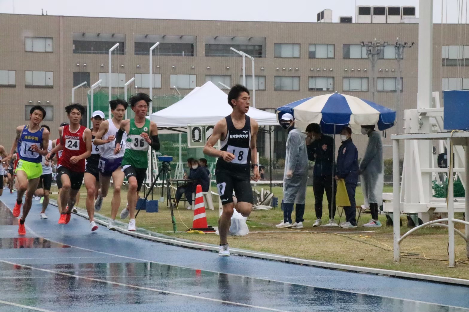 294nittai179