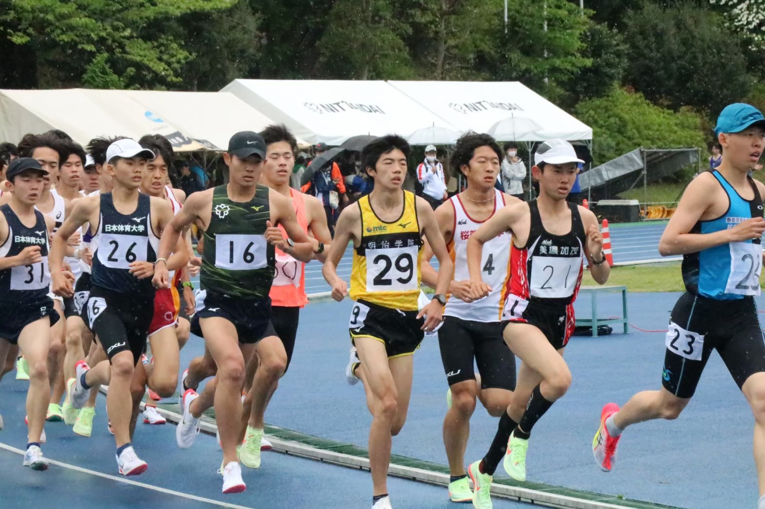294nittai197