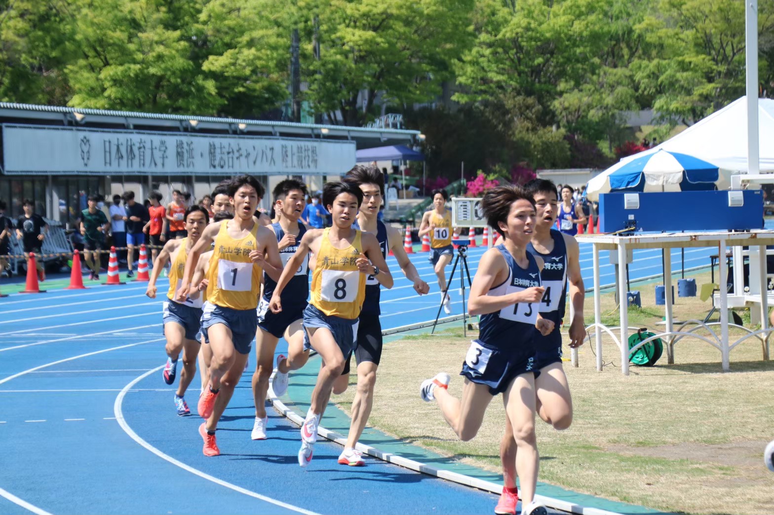 294nittai20