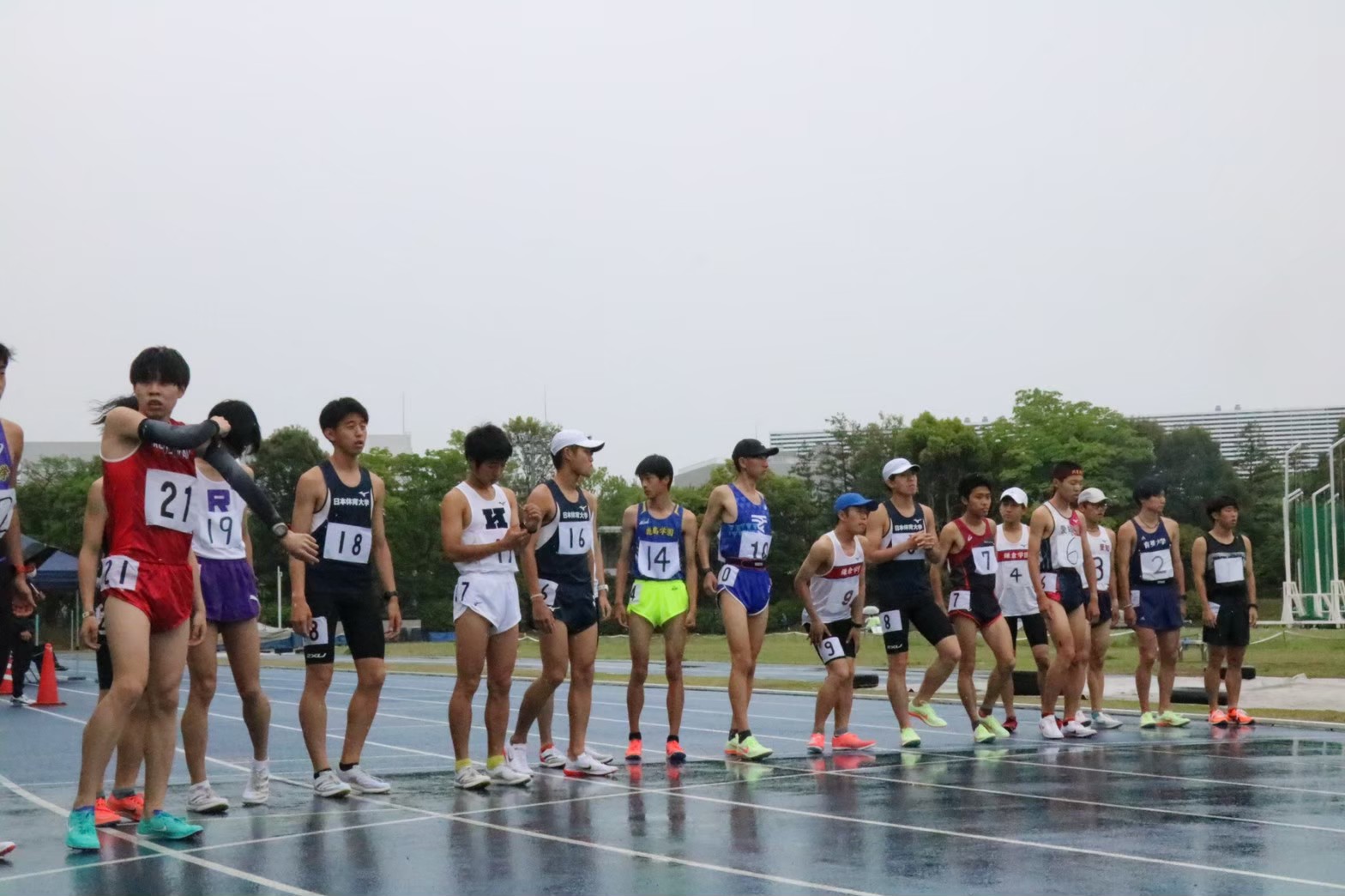294nittai245