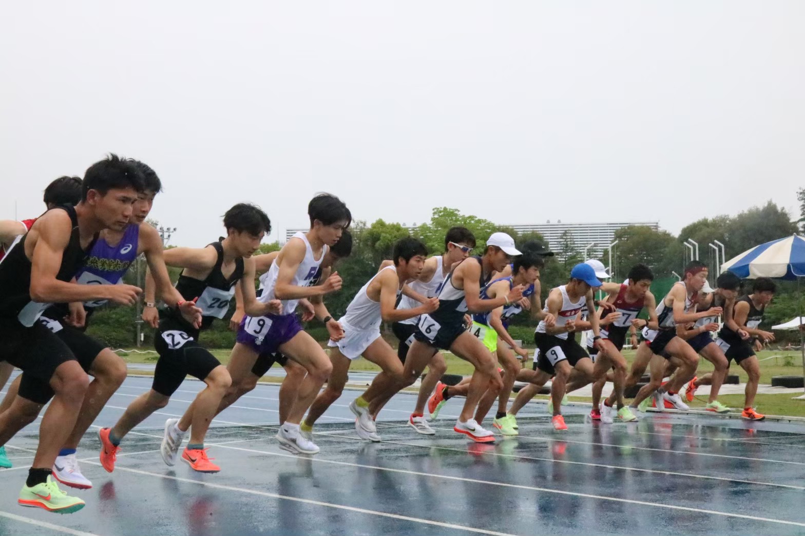 294nittai248