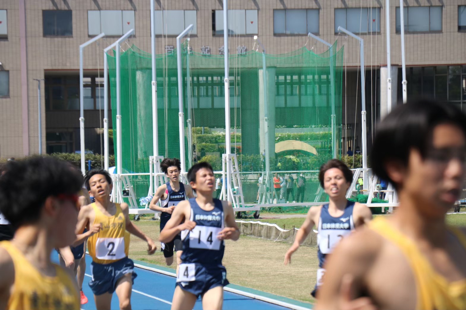 294nittai33