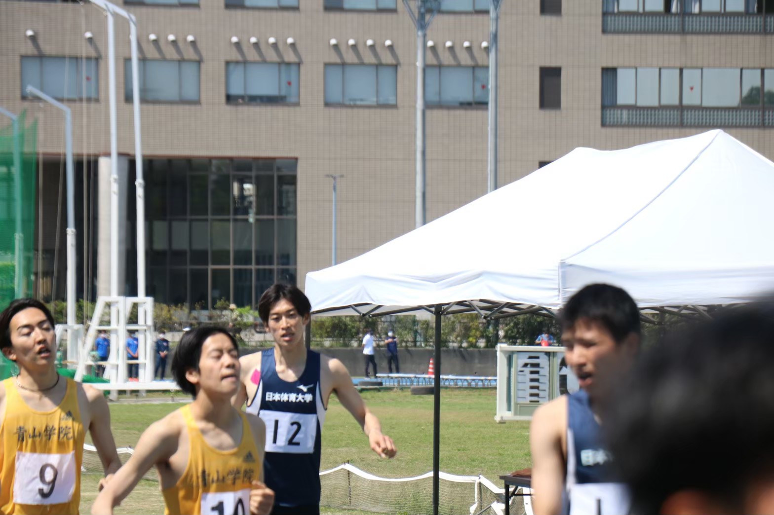 294nittai36