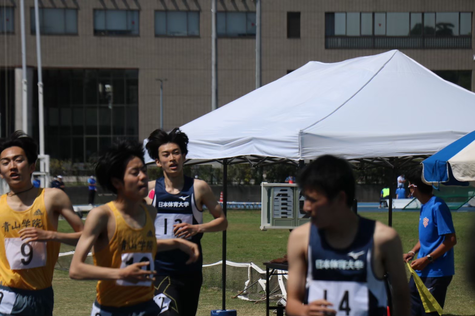 294nittai37