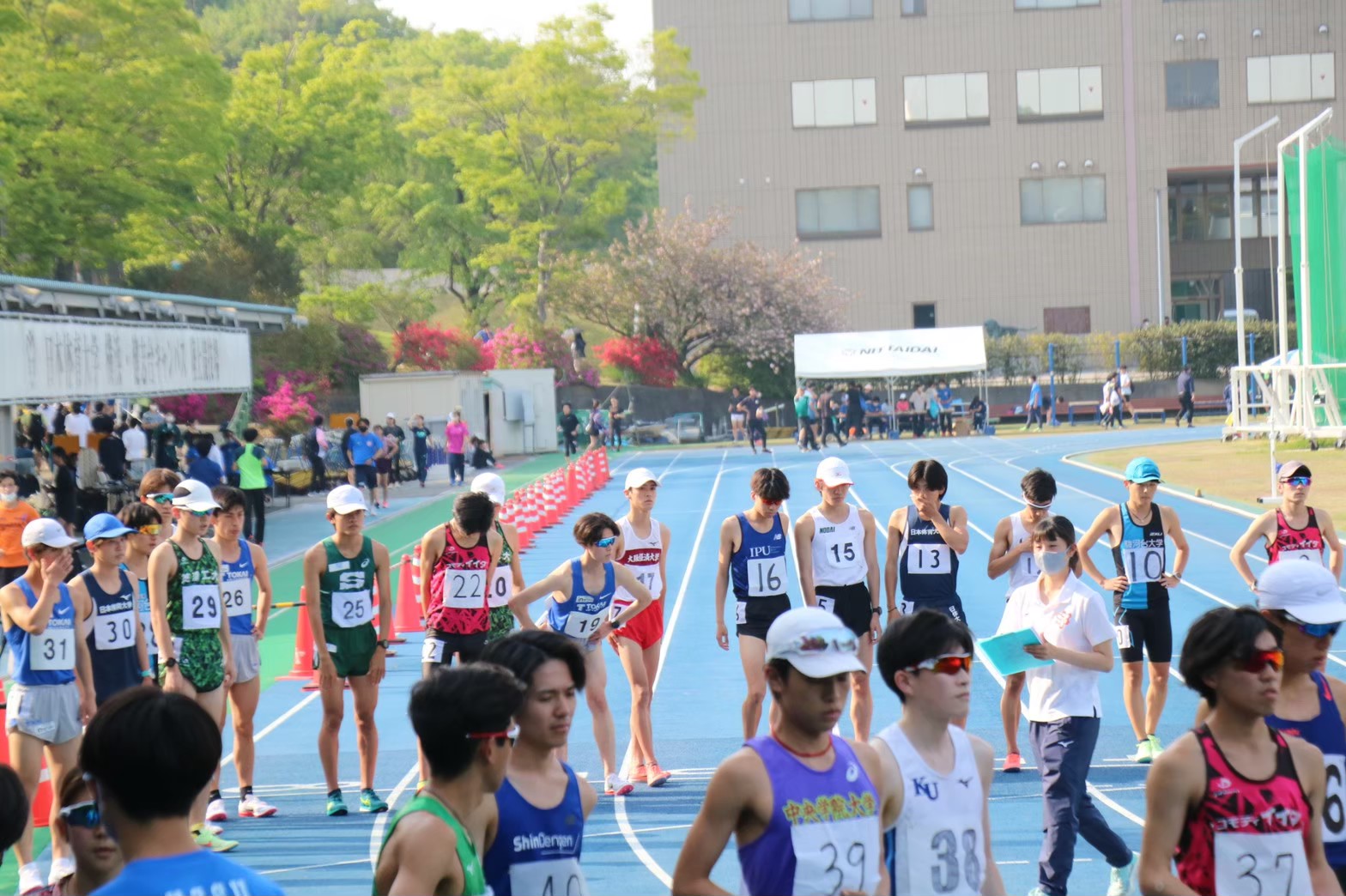 294nittai49