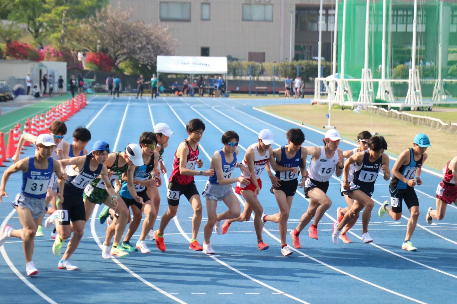 294nittai52