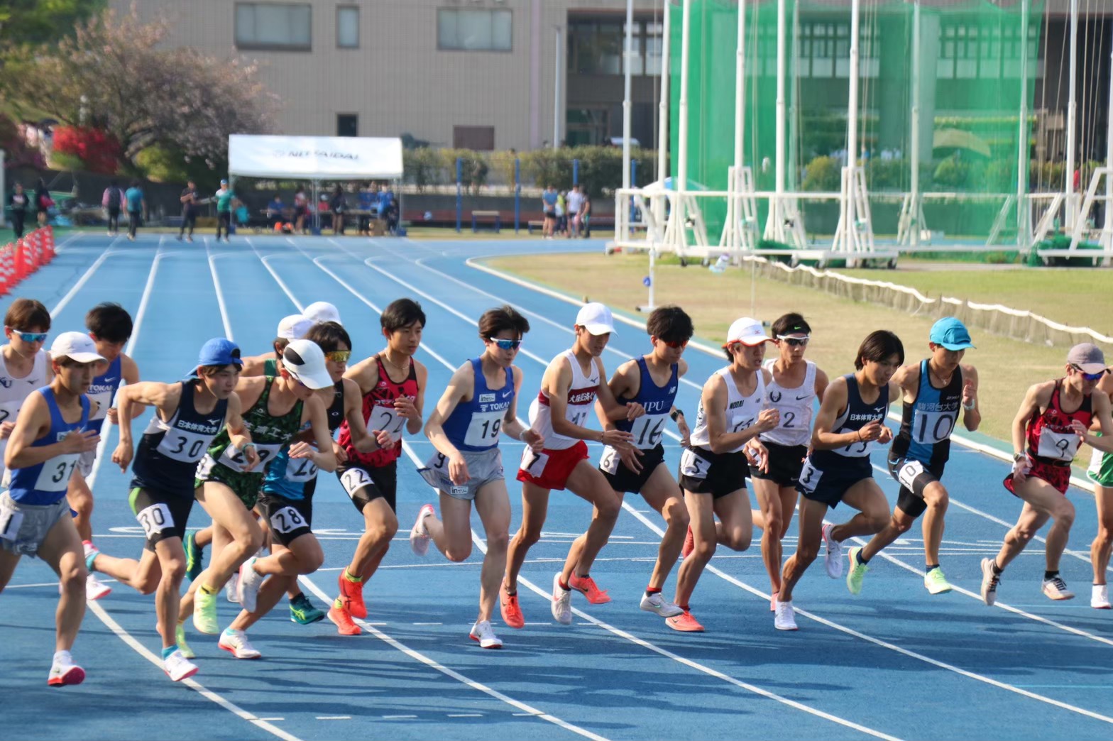 294nittai53