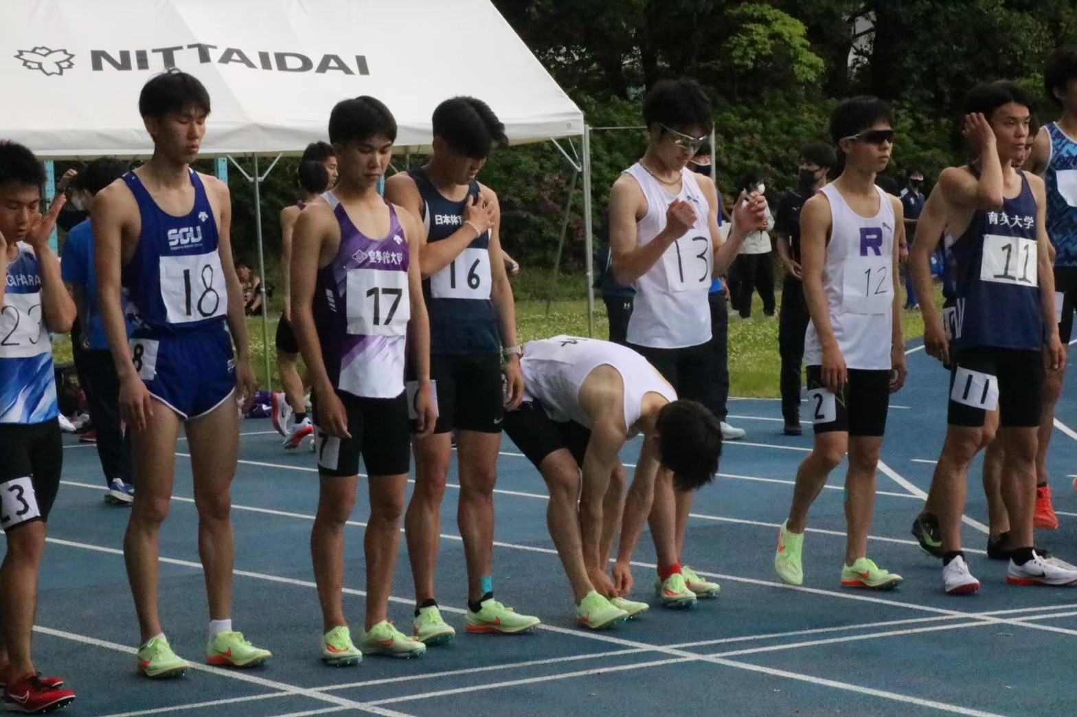 295nittai131