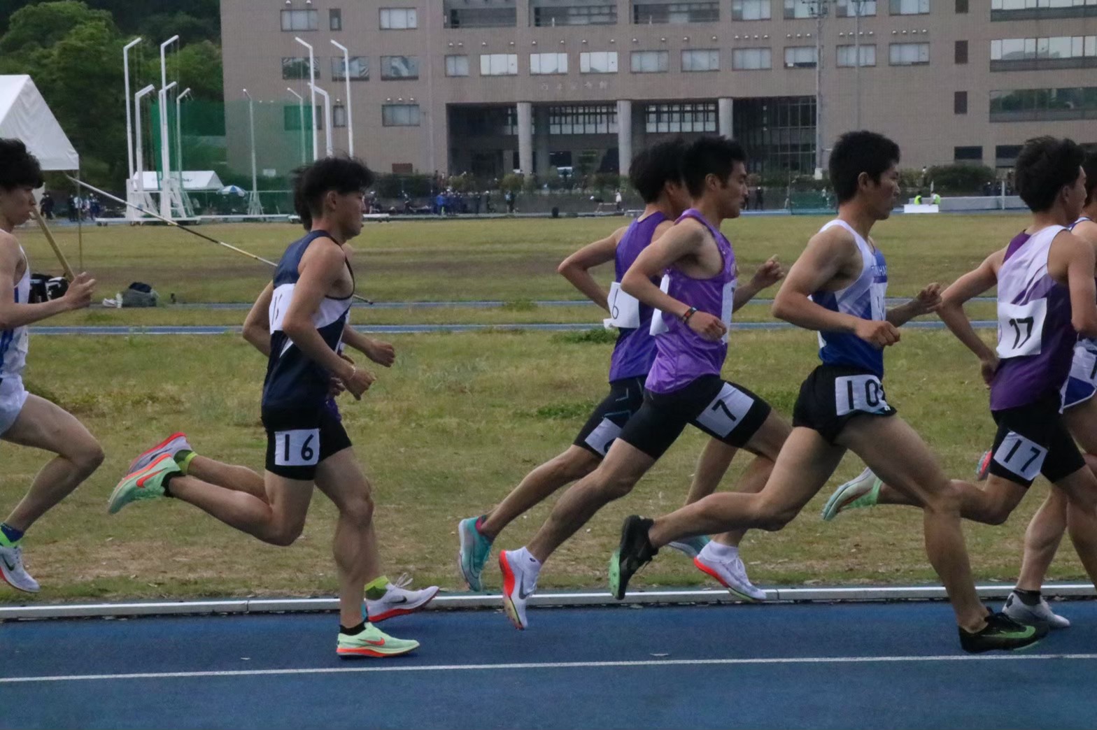 295nittai155