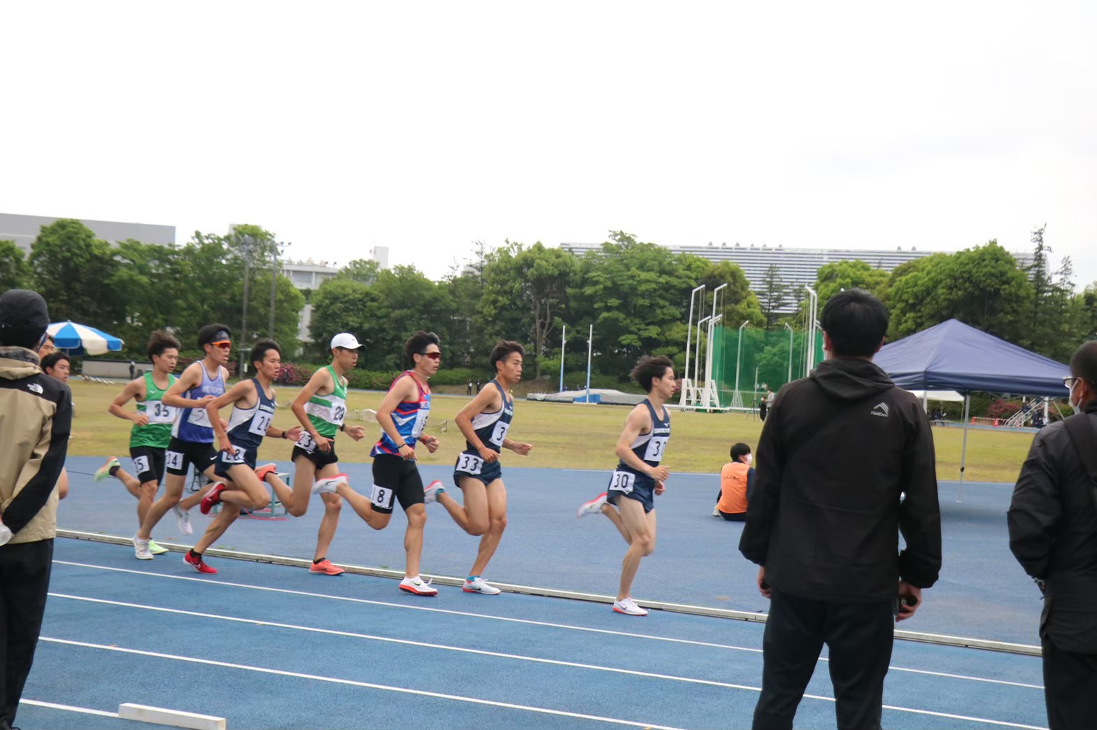 295nittai175