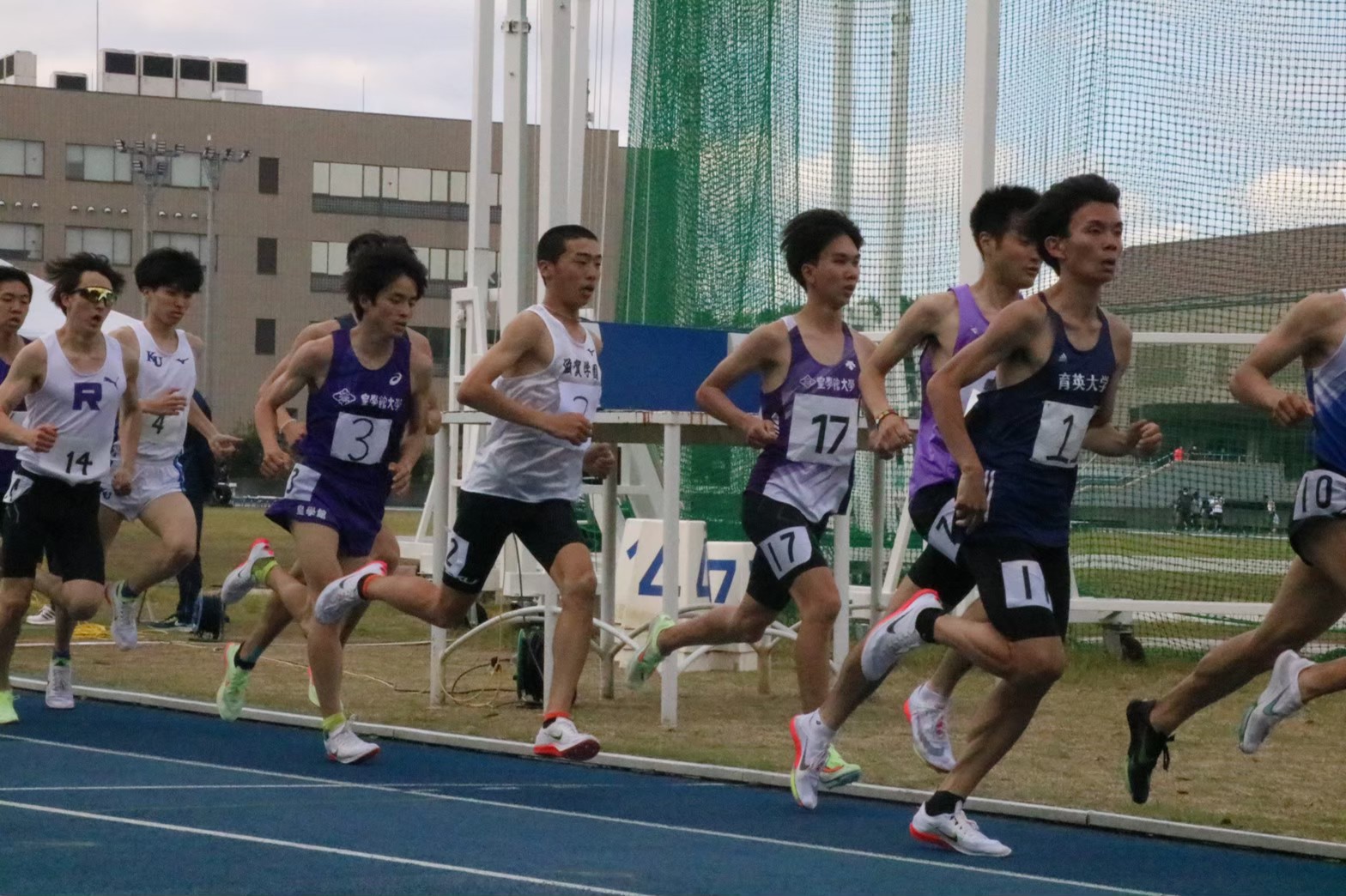 295nittai234