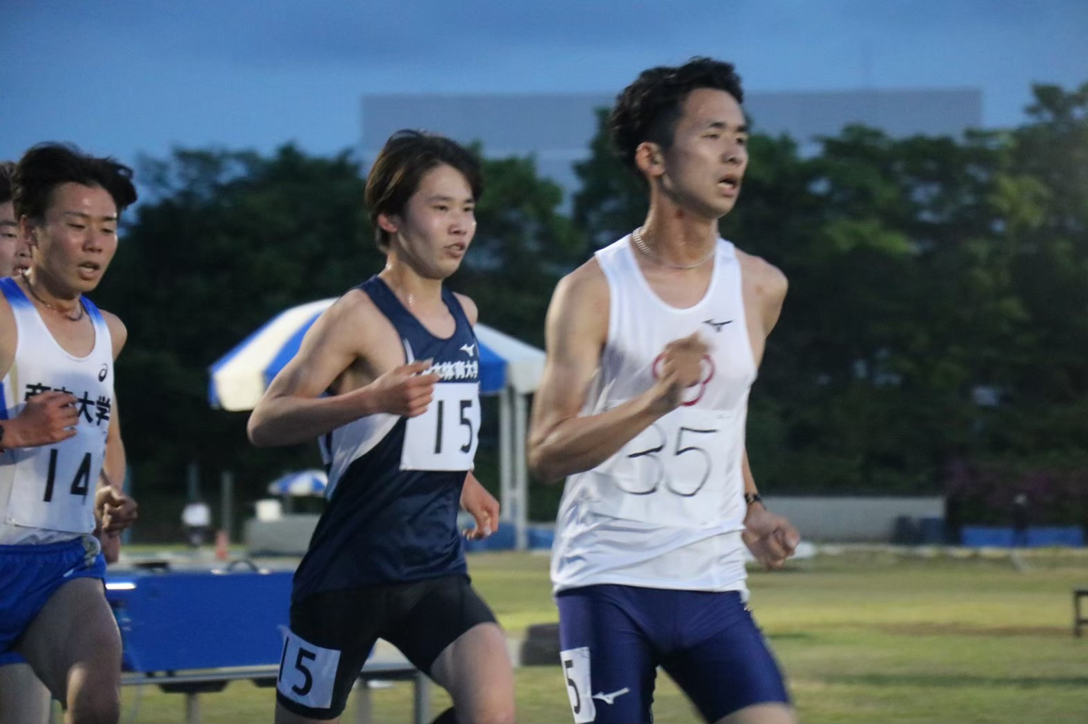 295nittai29