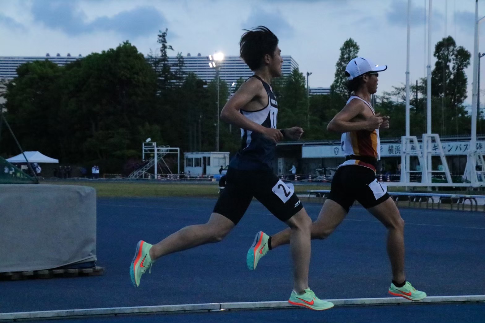 295nittai33