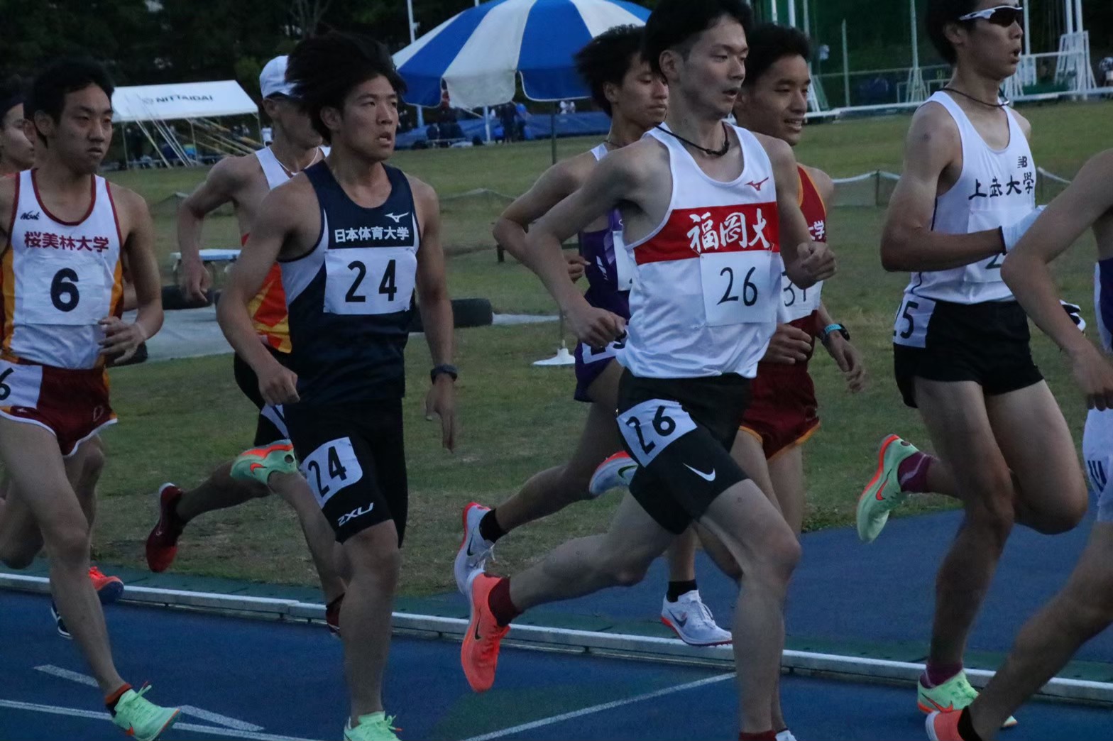 295nittai34